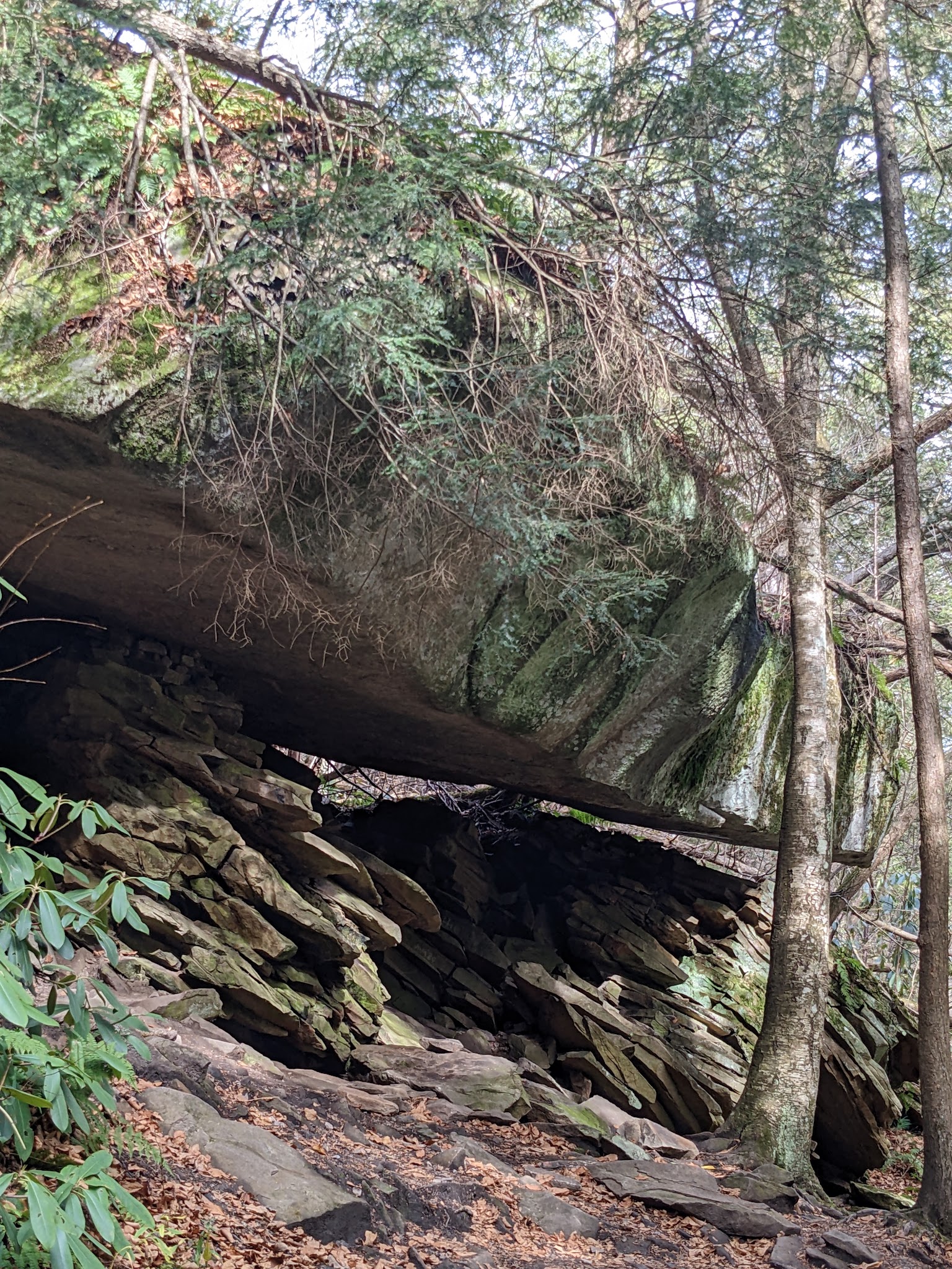 Swallow Falls State Park