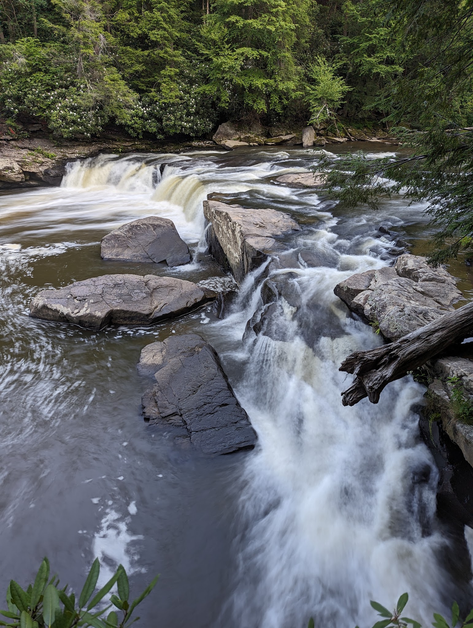 Swallow Falls State Park