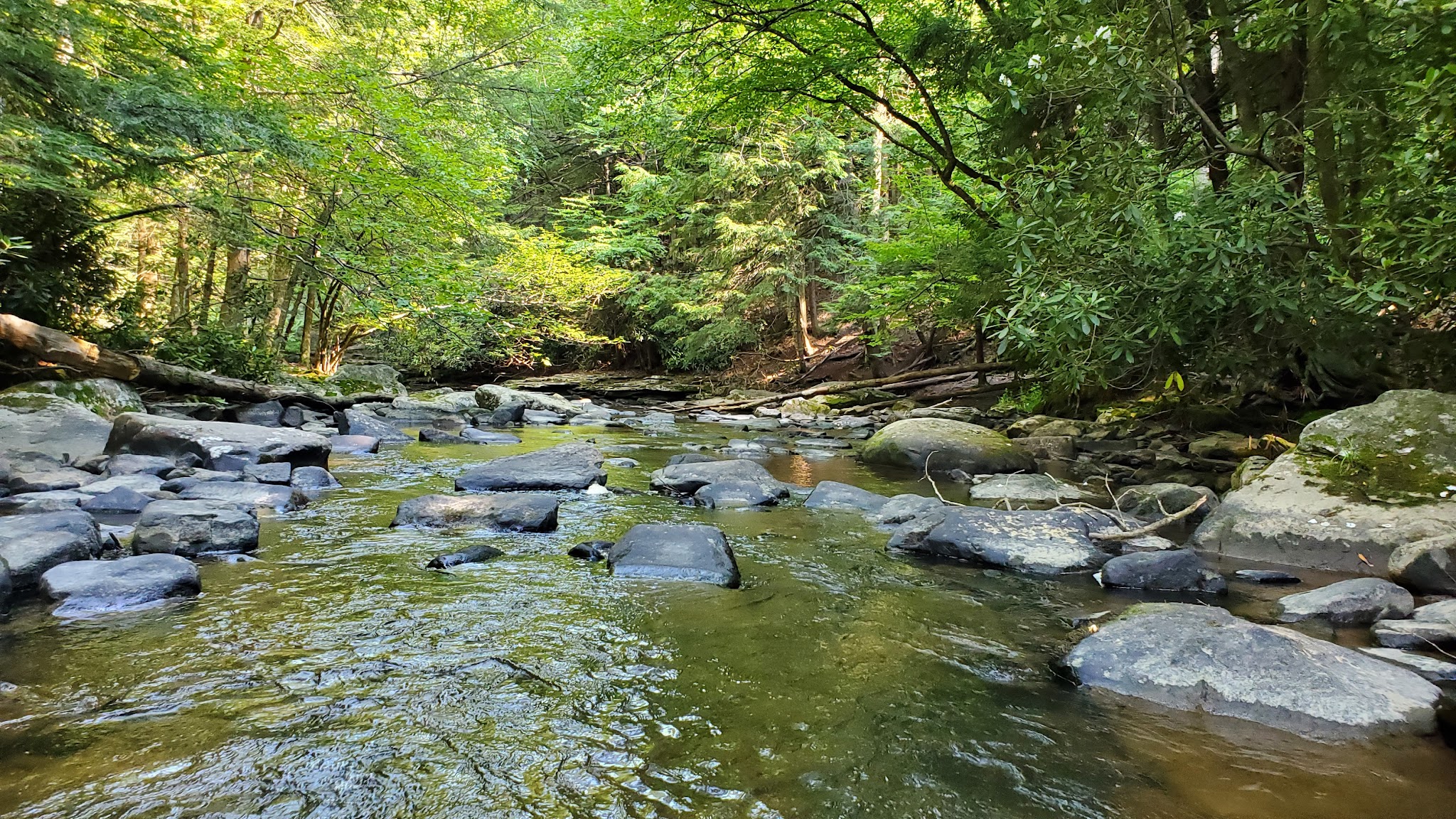Swallow Falls State Park