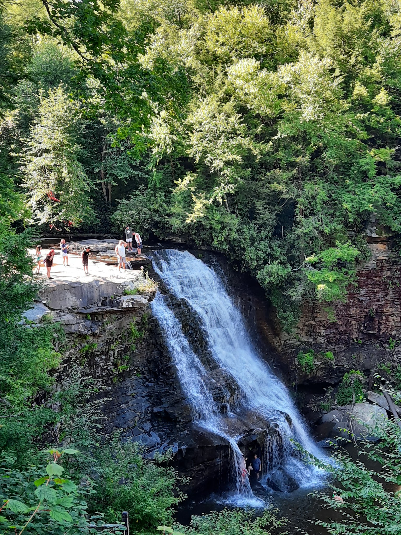 Swallow Falls State Park
