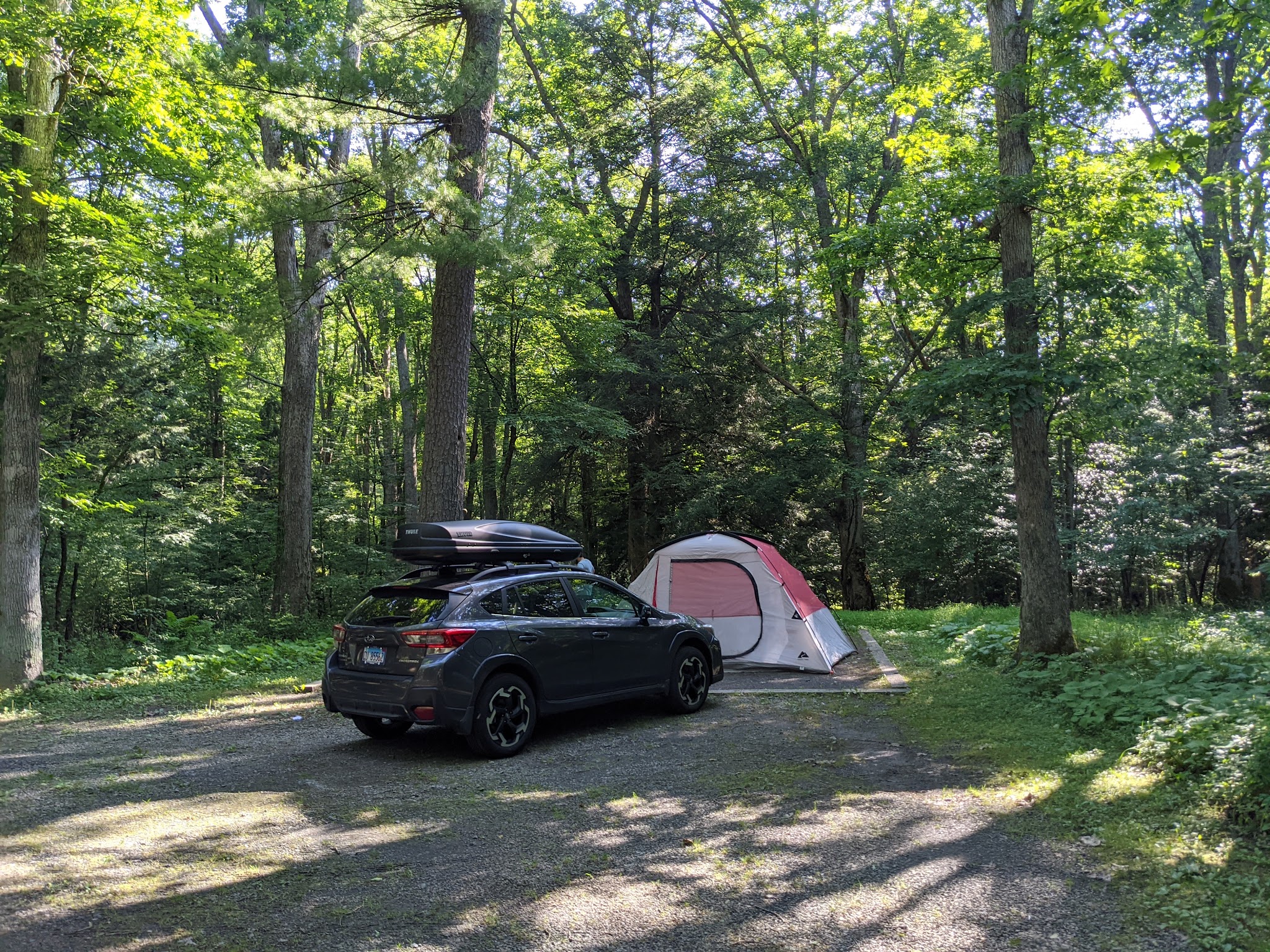 Swallow Falls State Park