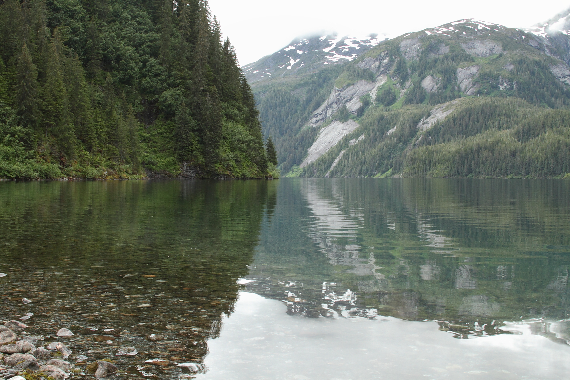 Swan Lake Cabin Petersburg