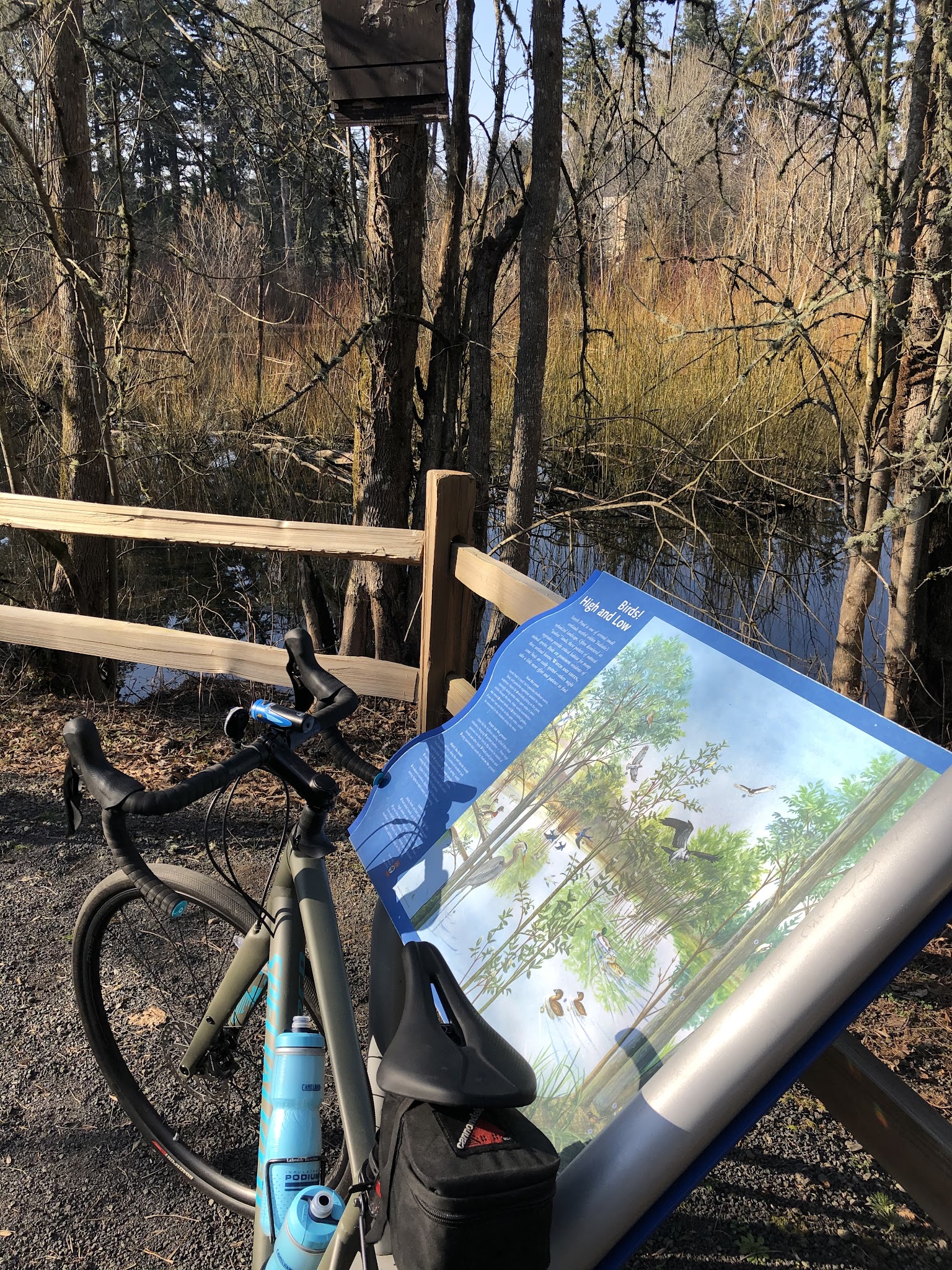 Pascuzzi Pond Natural Sup Campground