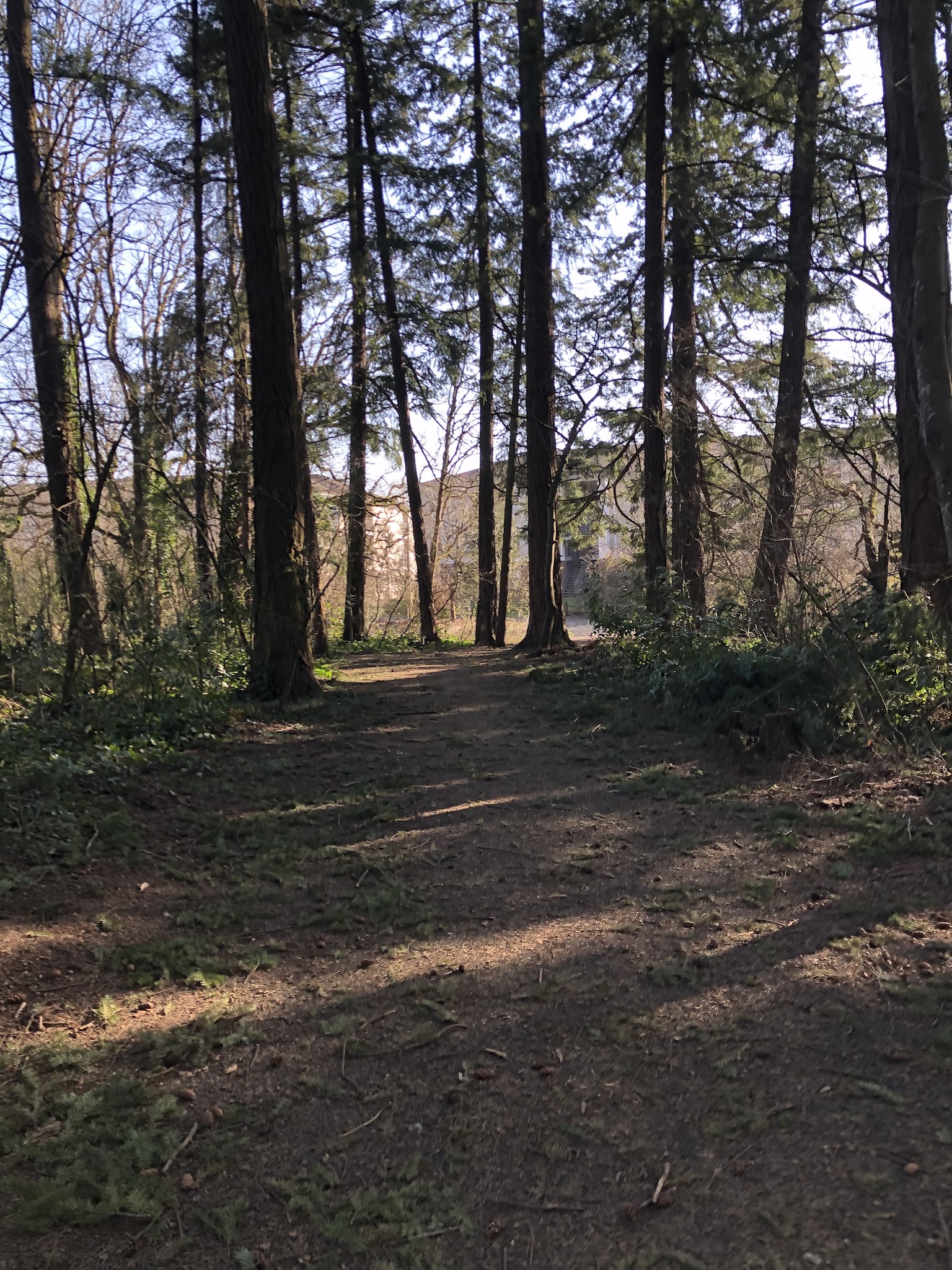 Pascuzzi Pond Natural Sup Campground