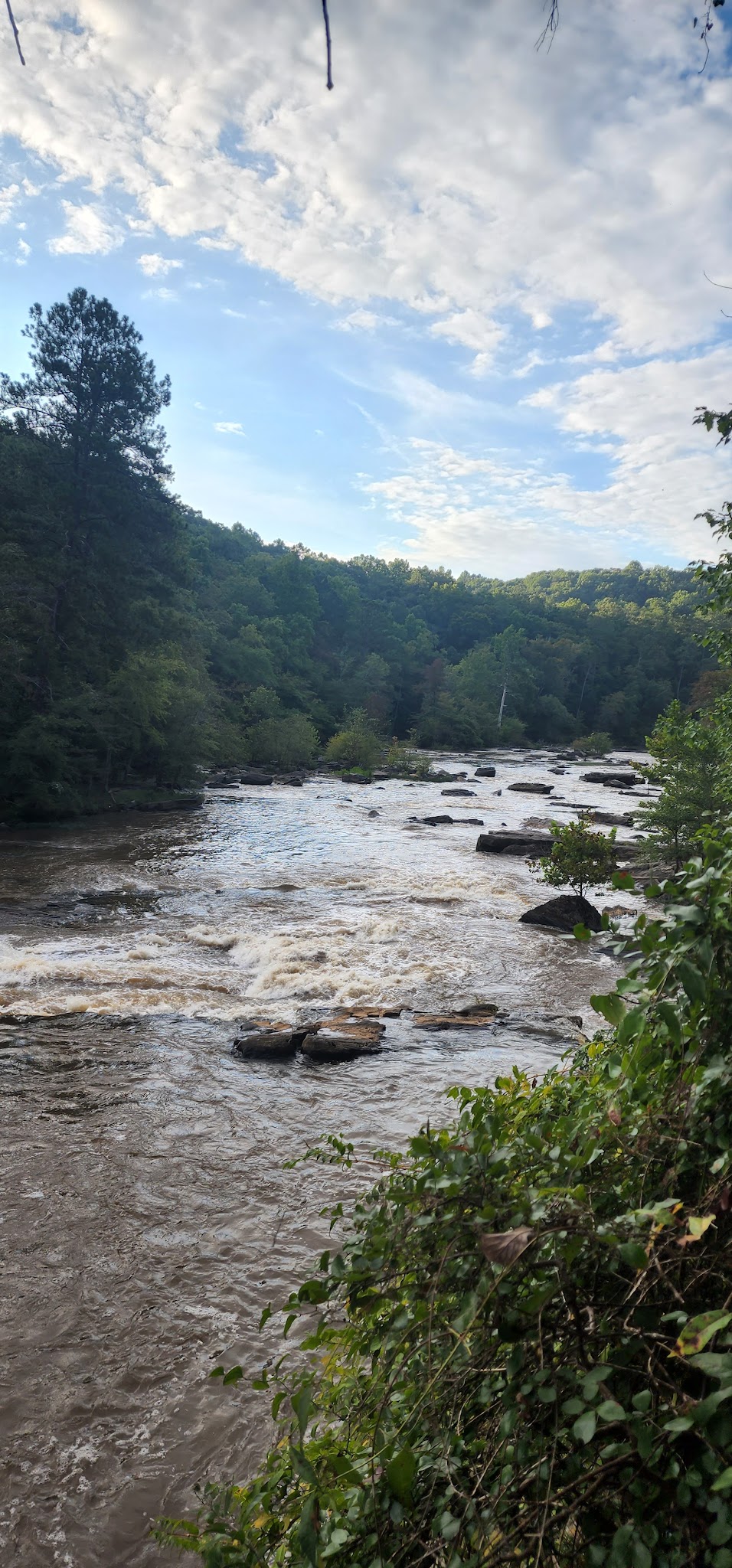 Sweetwater Creek State Park