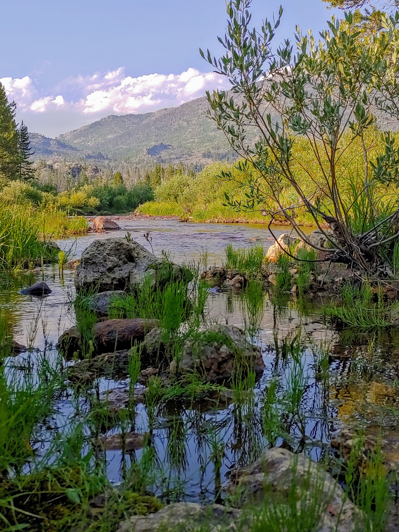 Sweetwater Guard Station Campground