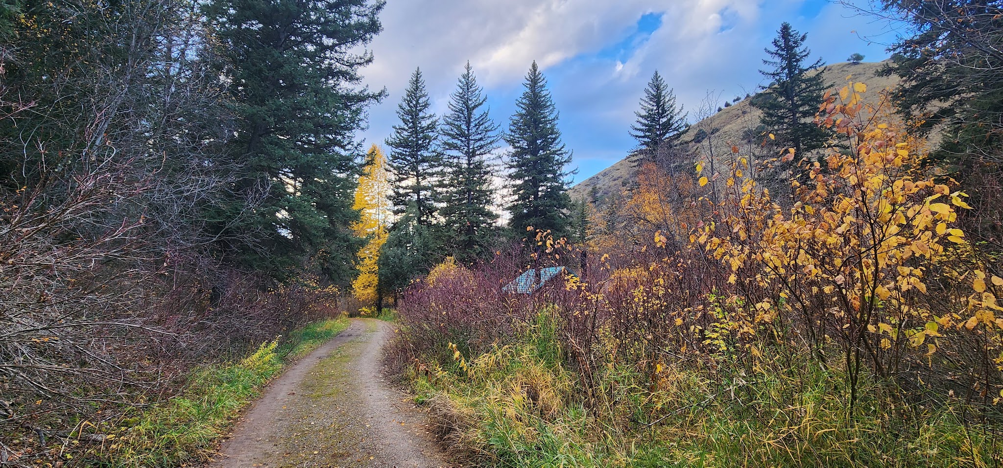 Swift Creek Campground