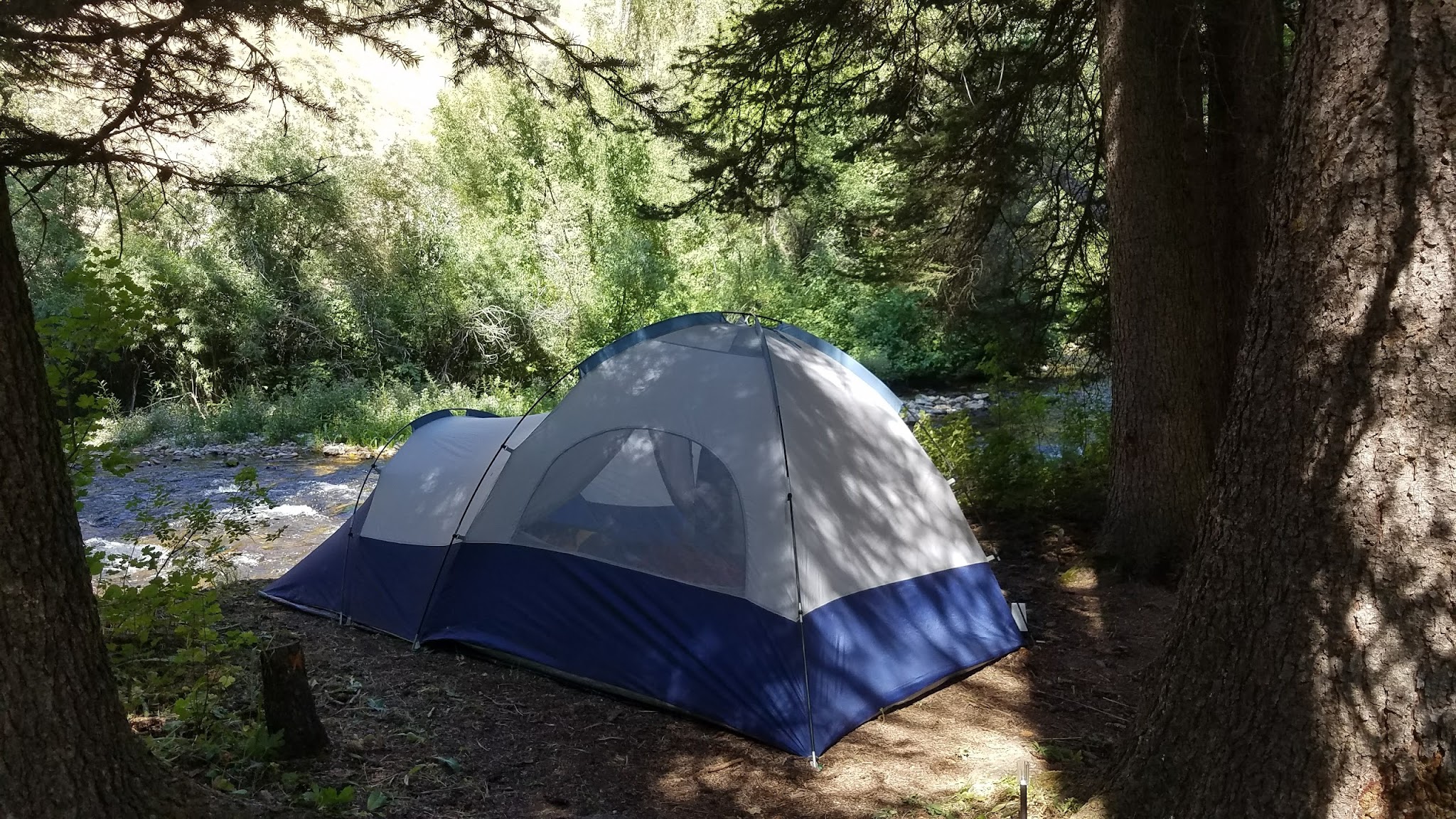 Swift Creek Campground