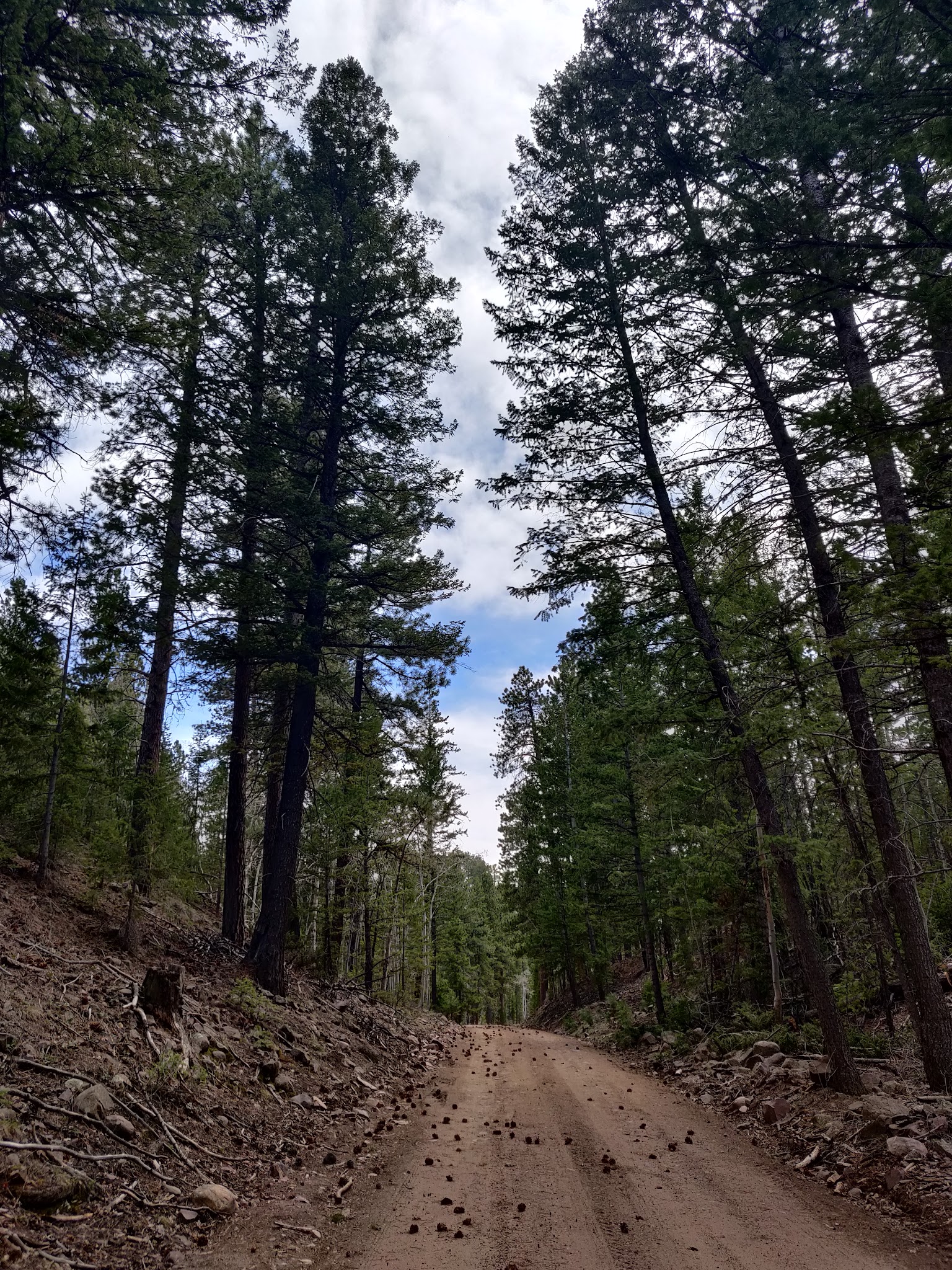 Swift Creek Campground