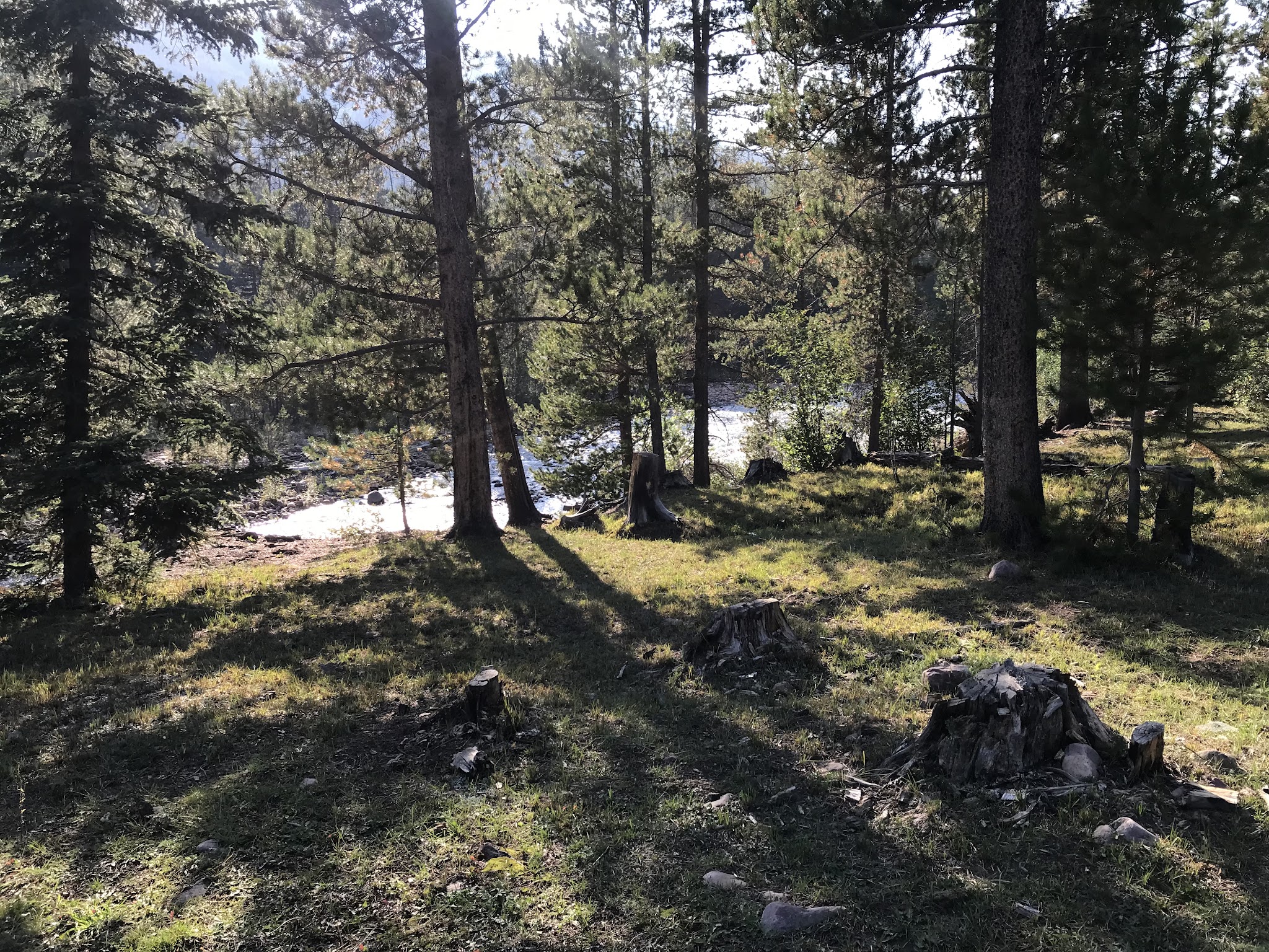 Swift Creek Campground