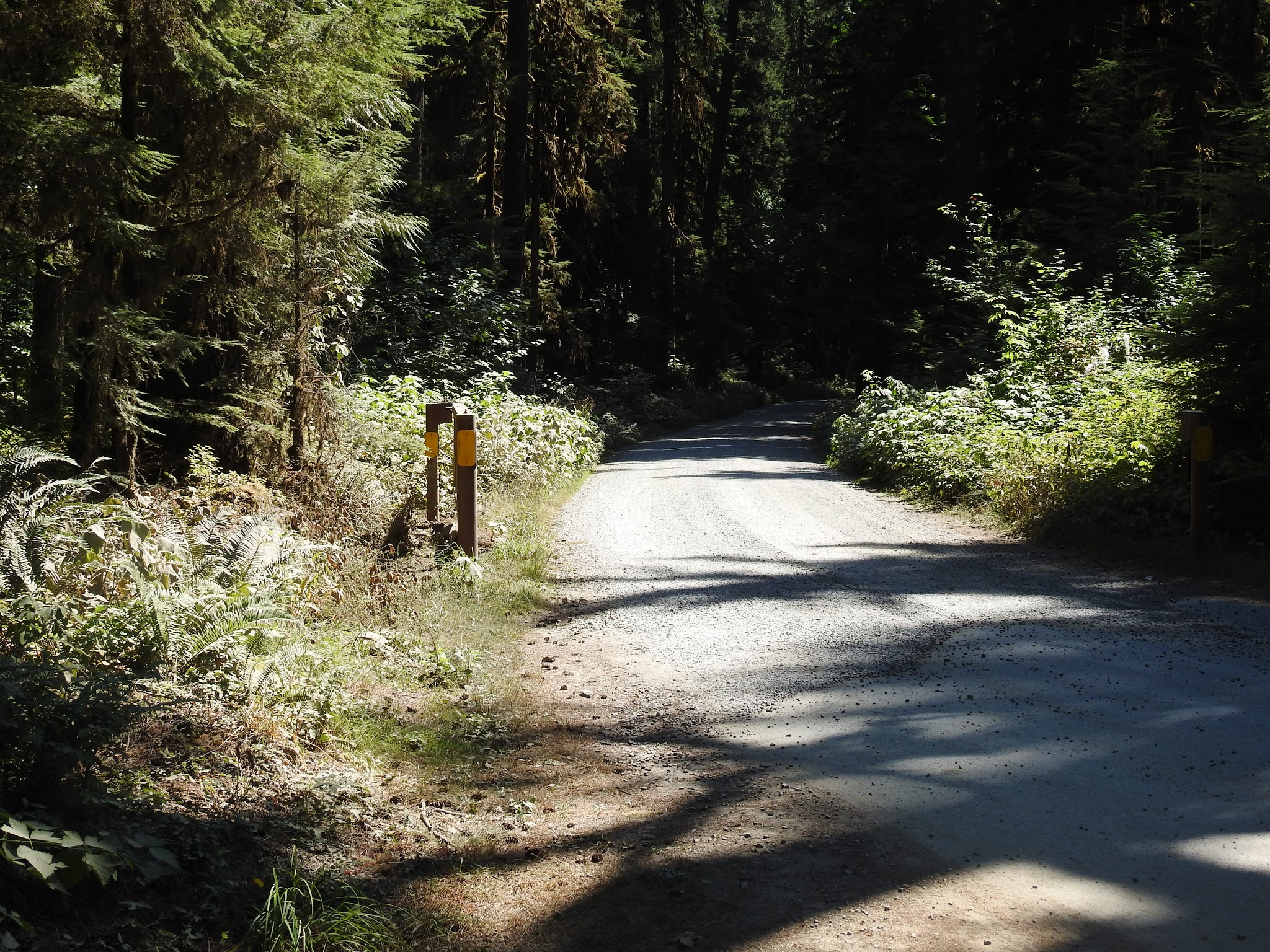 Swift Creek Campground