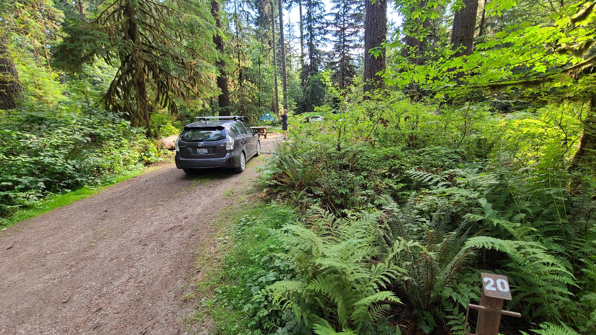 Swift Creek Campground