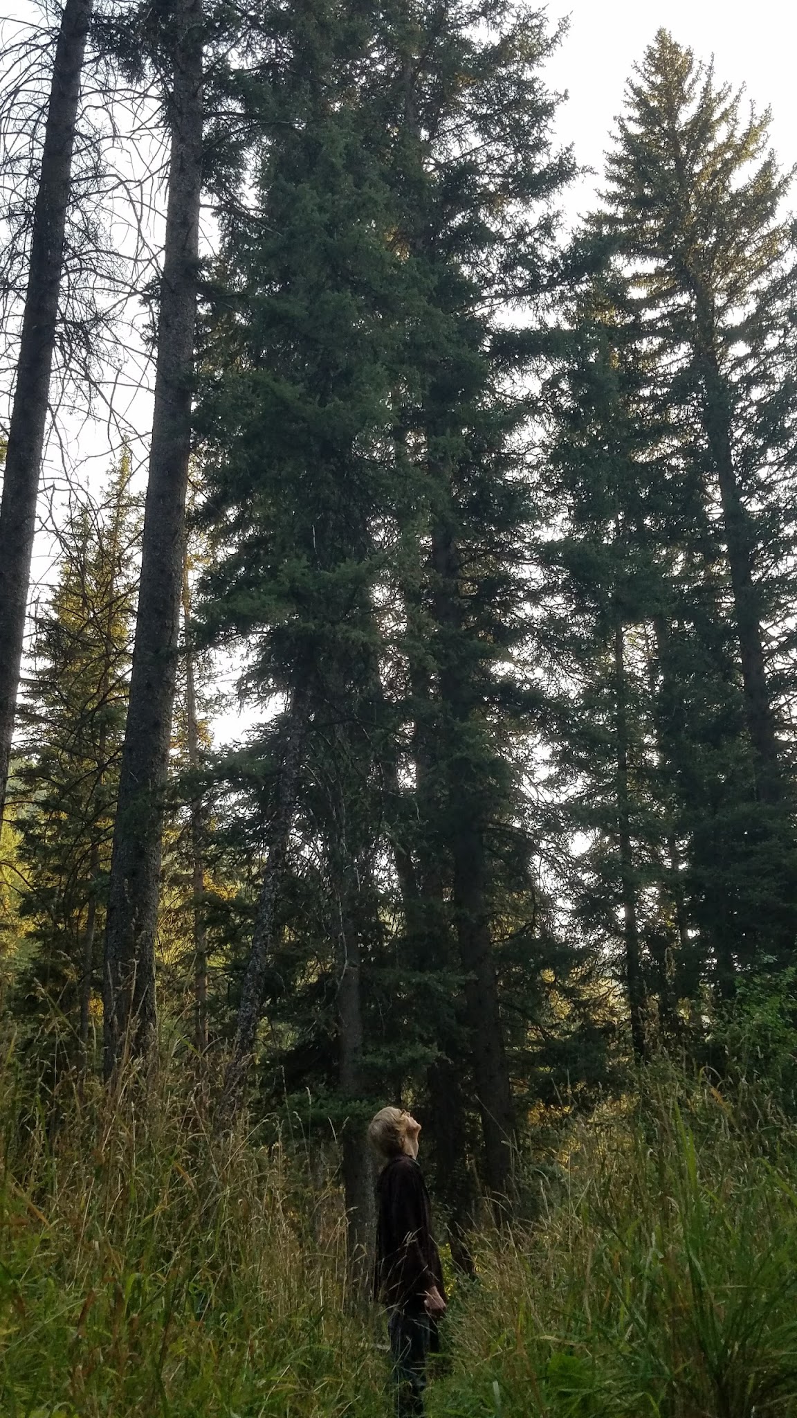 Swift Creek Campground