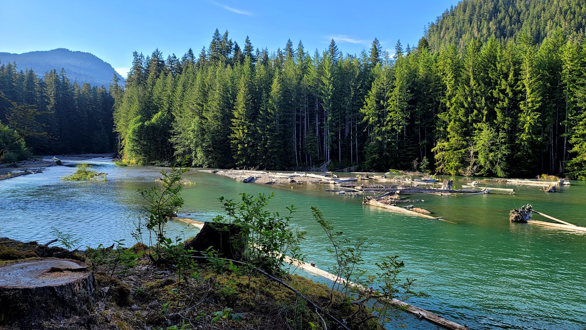 Swift Creek Campground