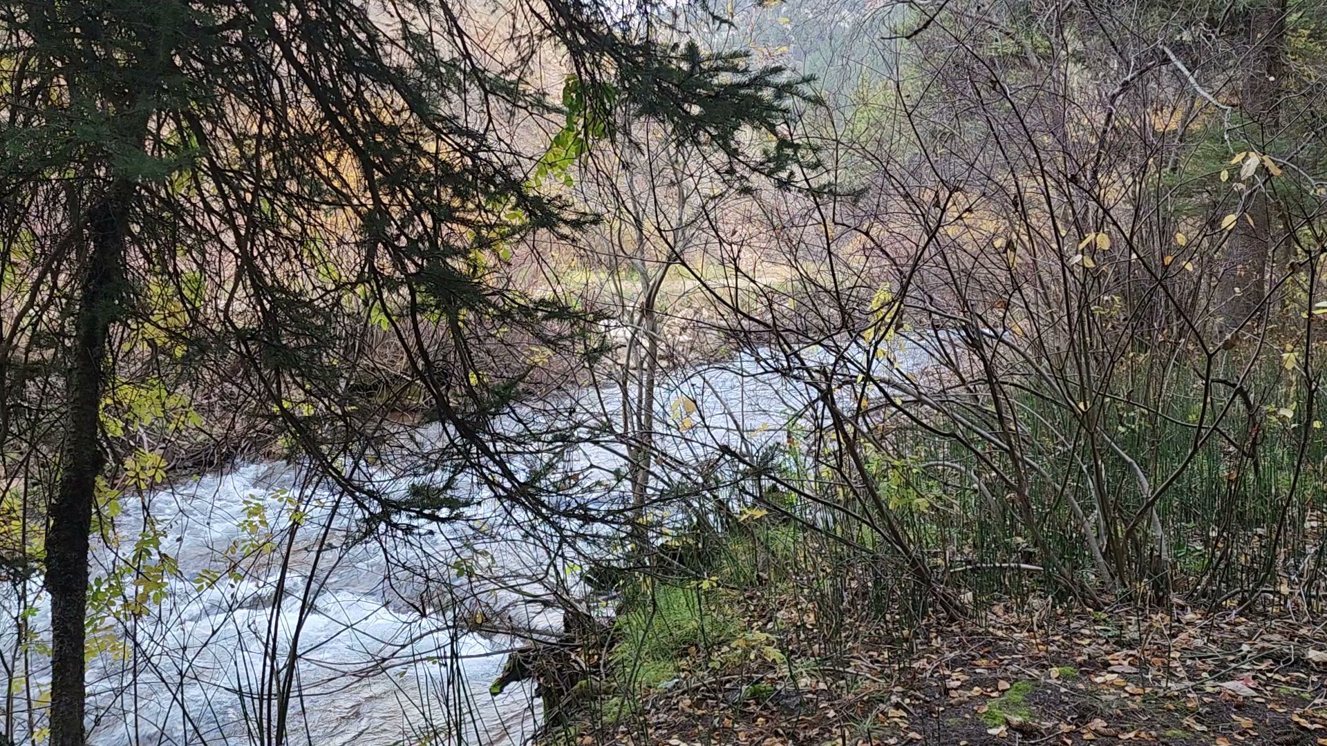 Swift Creek Campground