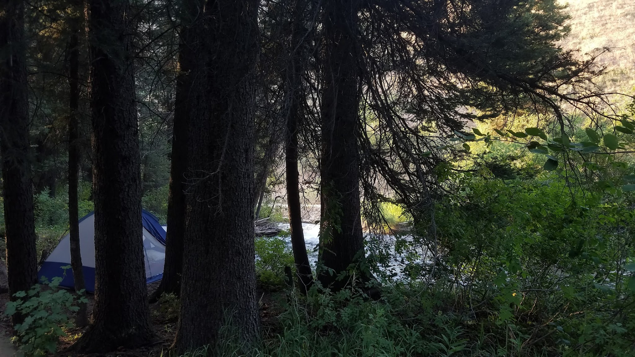 Swift Creek Campground