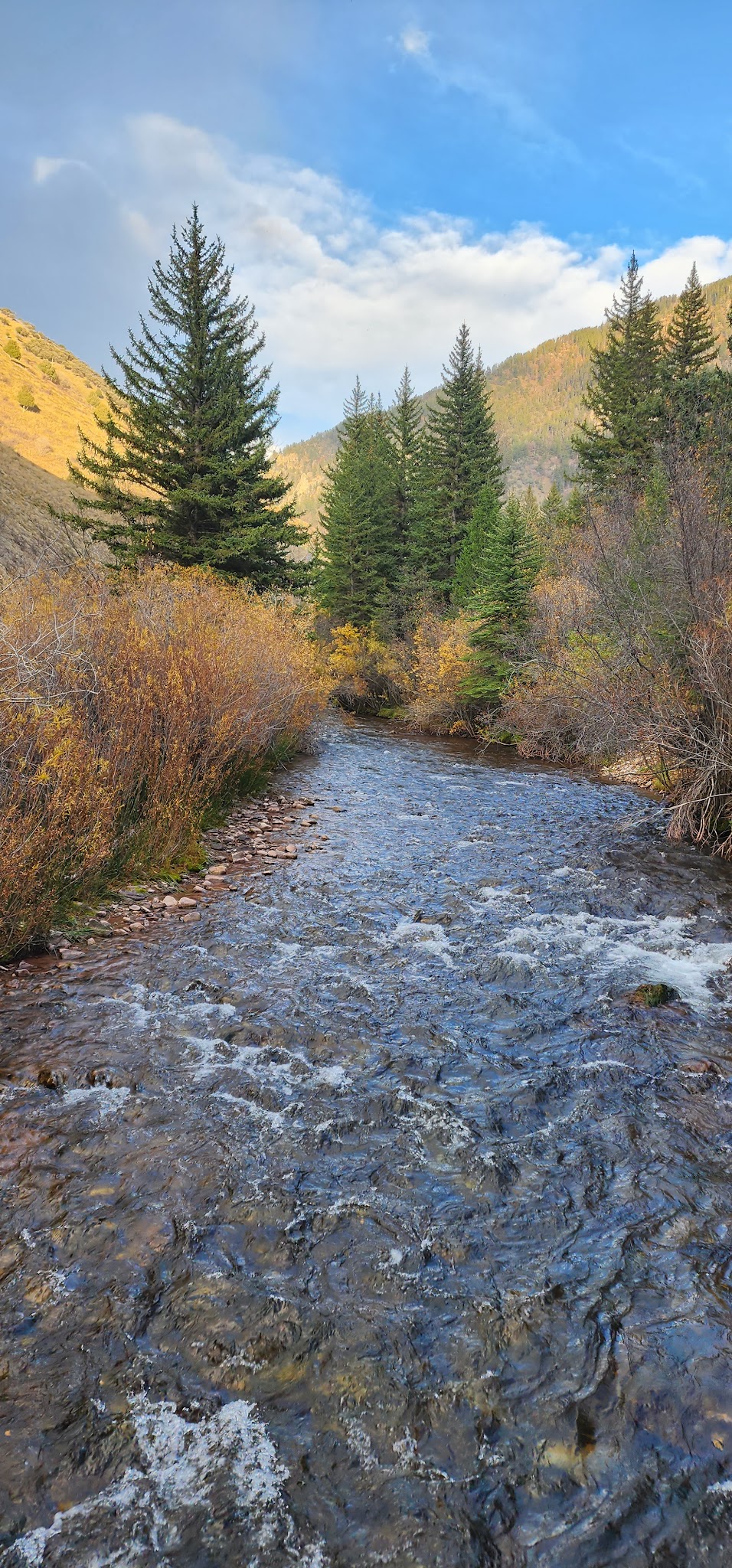 Swift Creek Campground