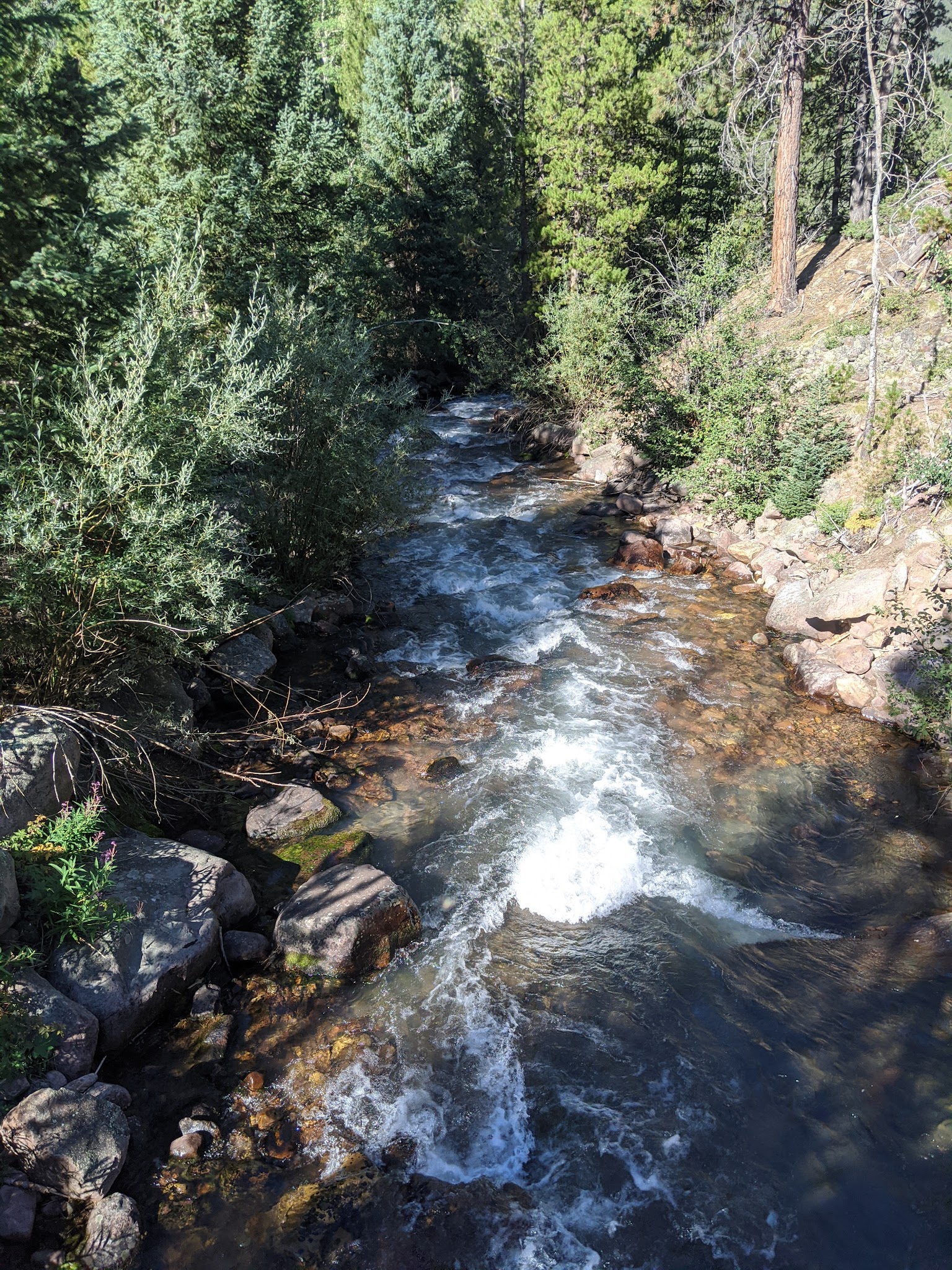 Swift Creek Campground