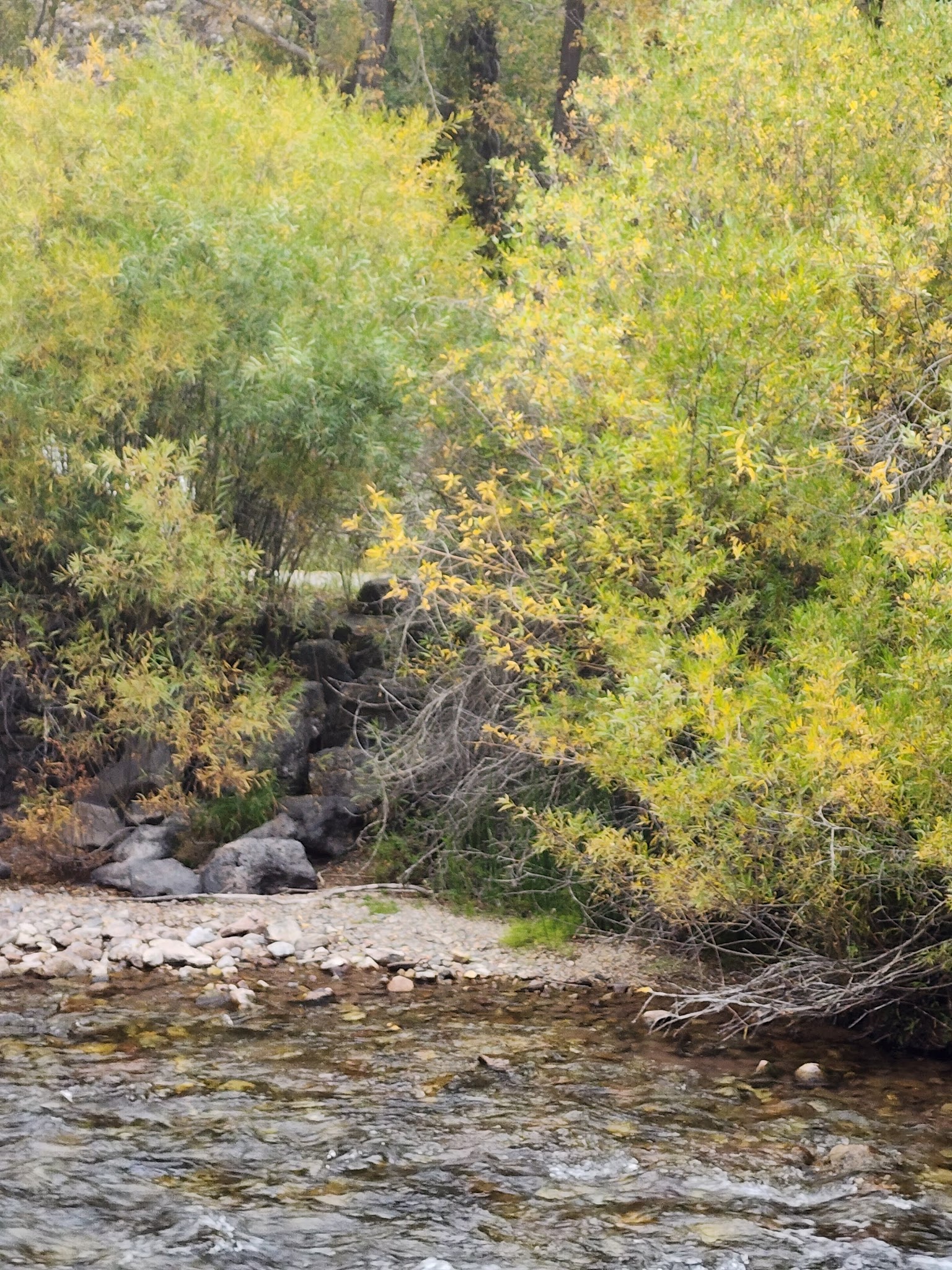 Swift Creek Campground