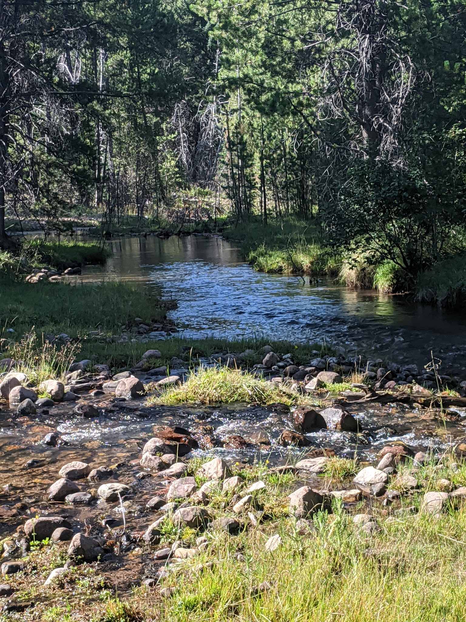 Swift Creek Campground