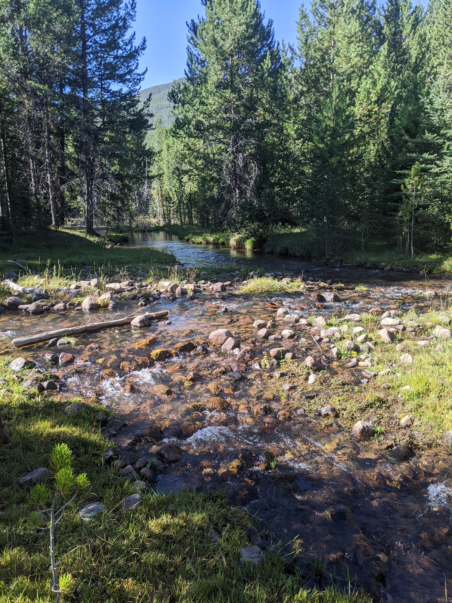 Swift Creek Campground