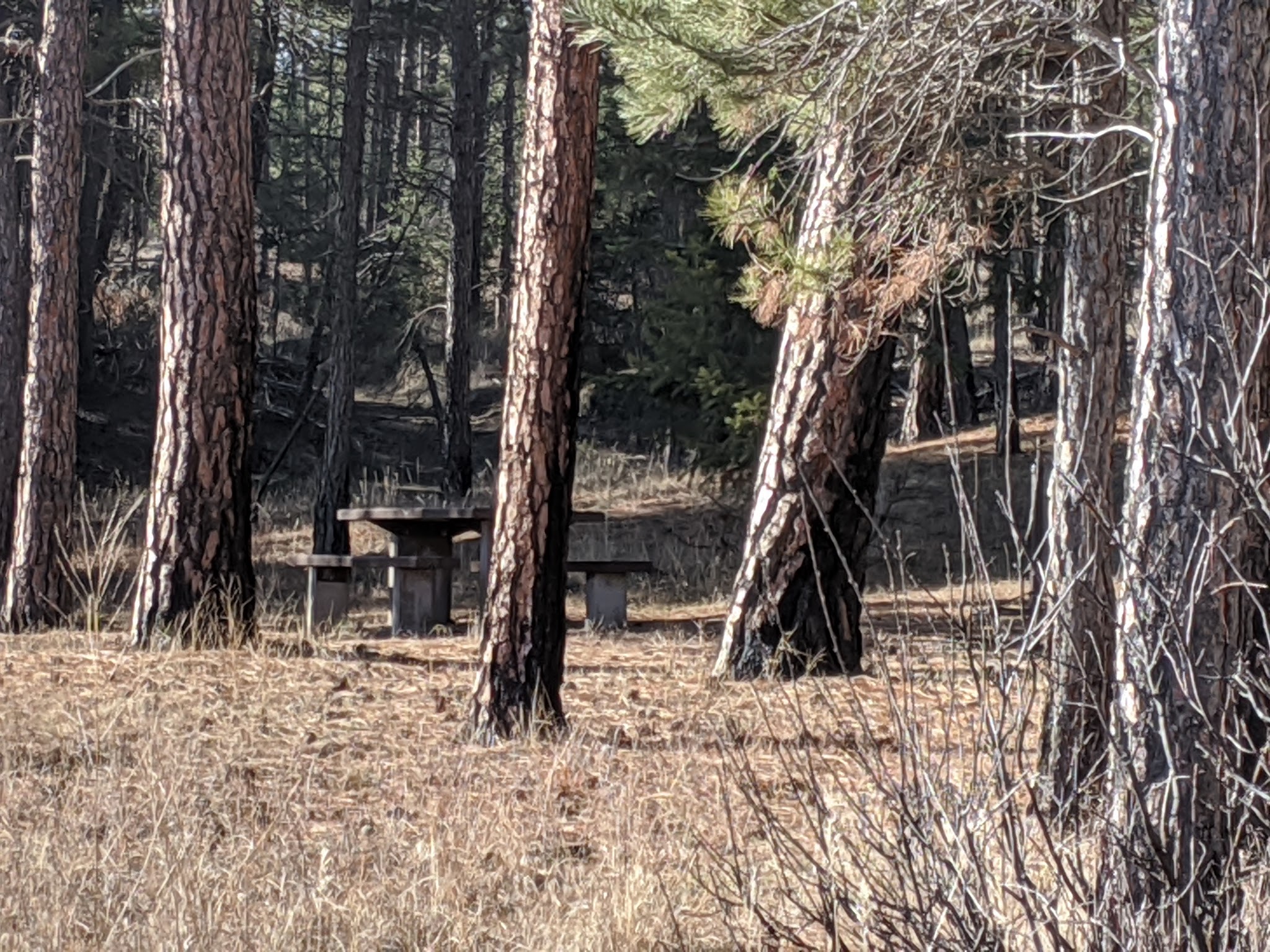 Swisher Lake Campground