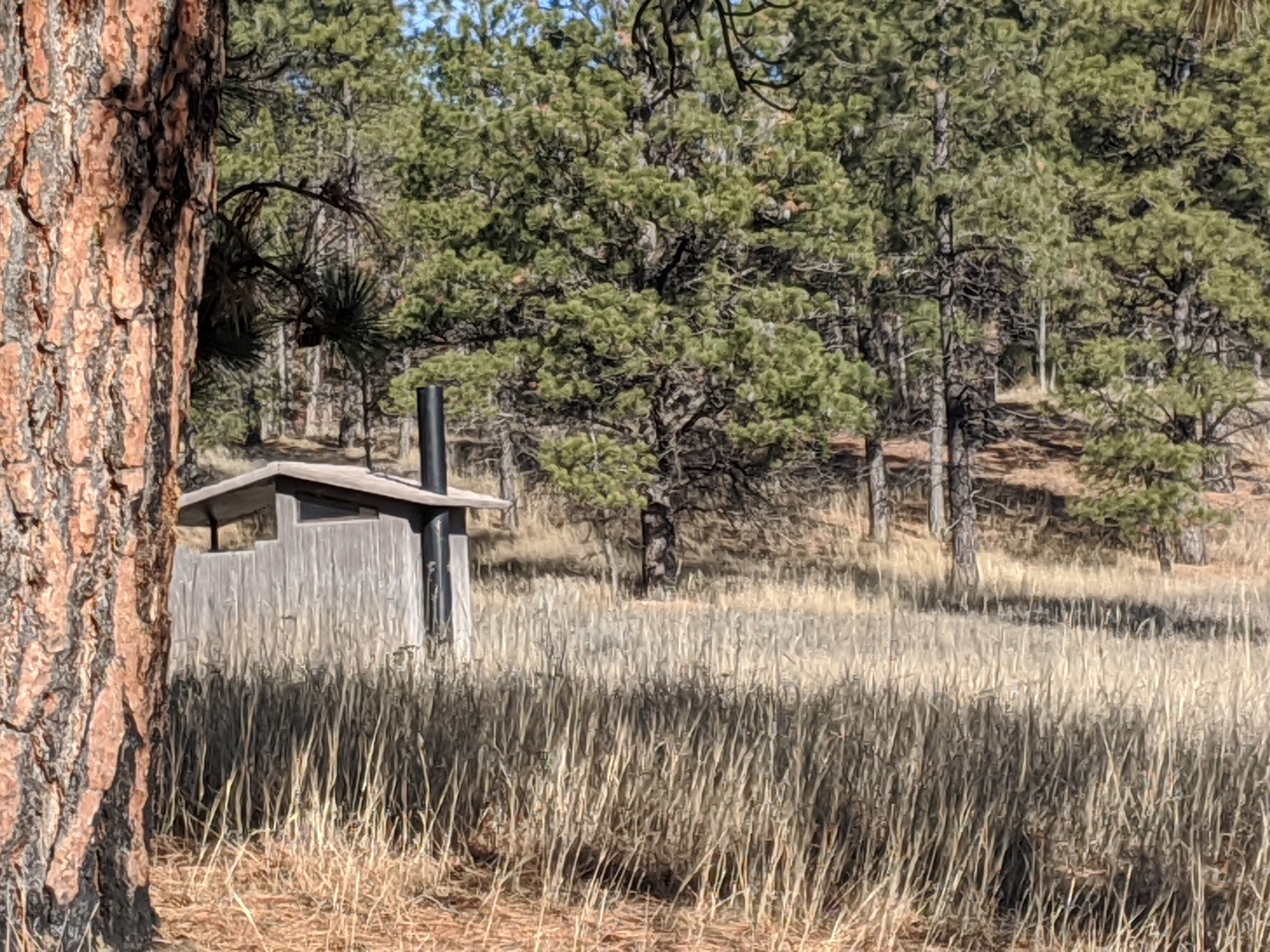 Swisher Lake Campground