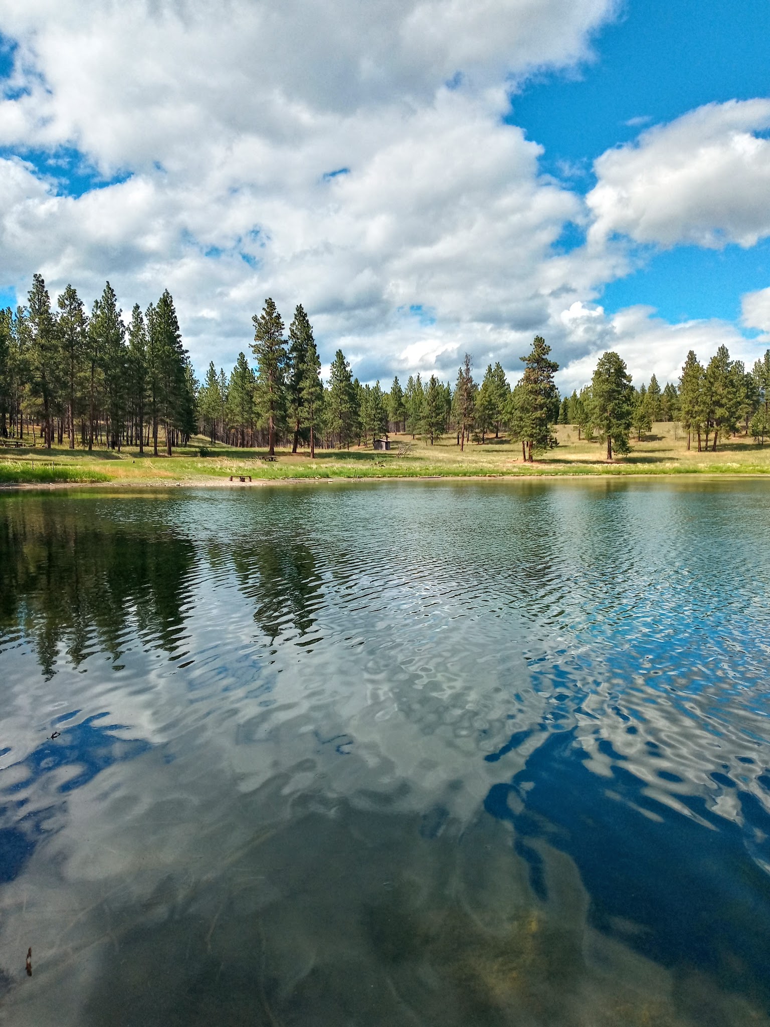Swisher Lake Campground
