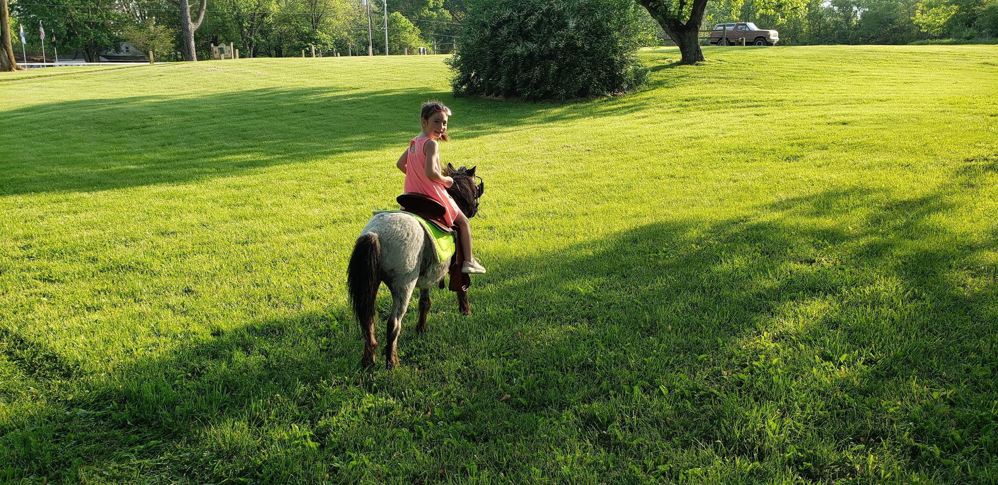 Sycamore Group Campground
