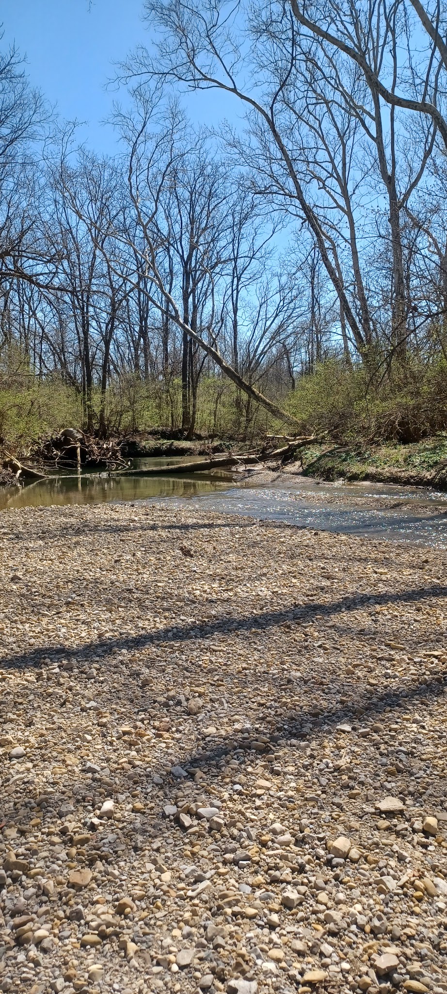 Sycamore Group Campground