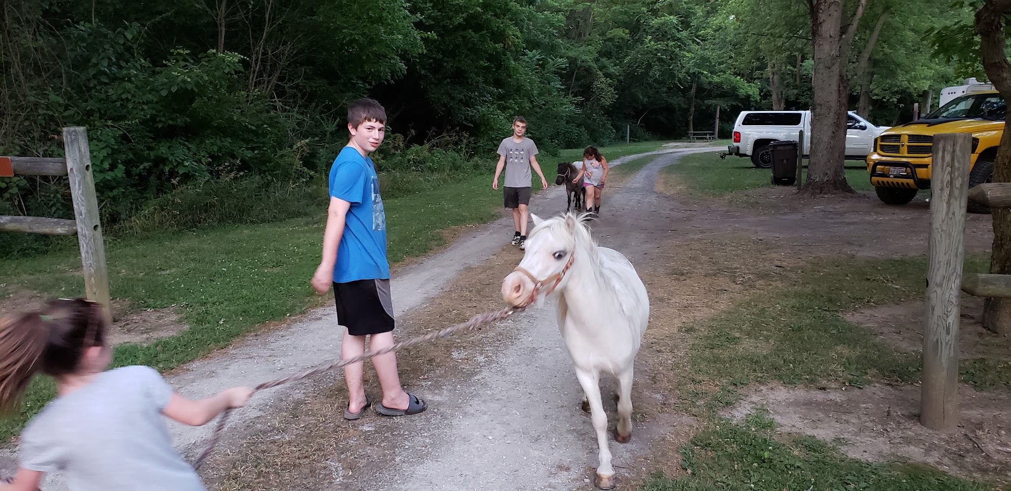 Sycamore Group Campground