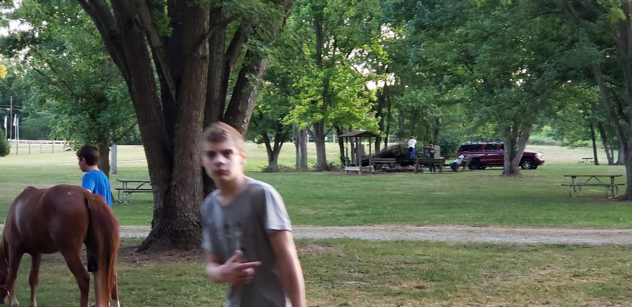 Sycamore Group Campground