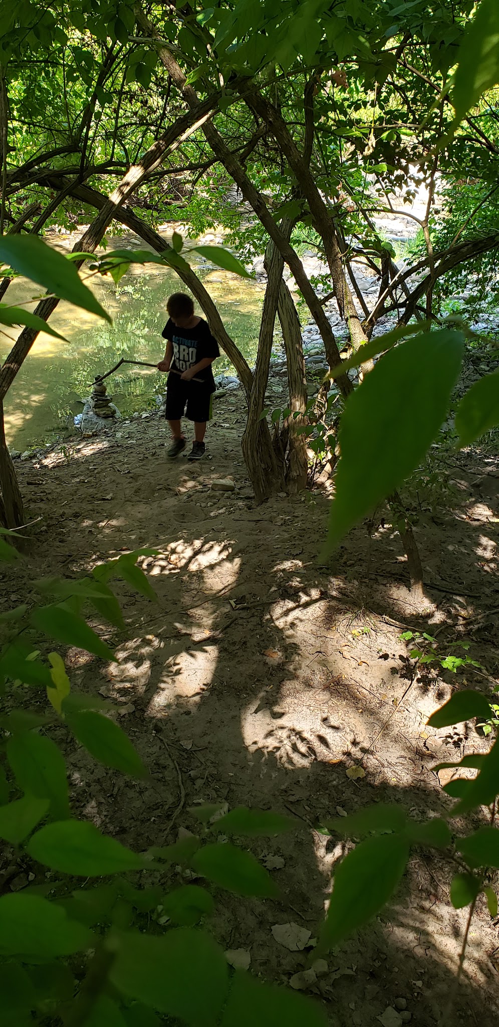 Sycamore Group Campground