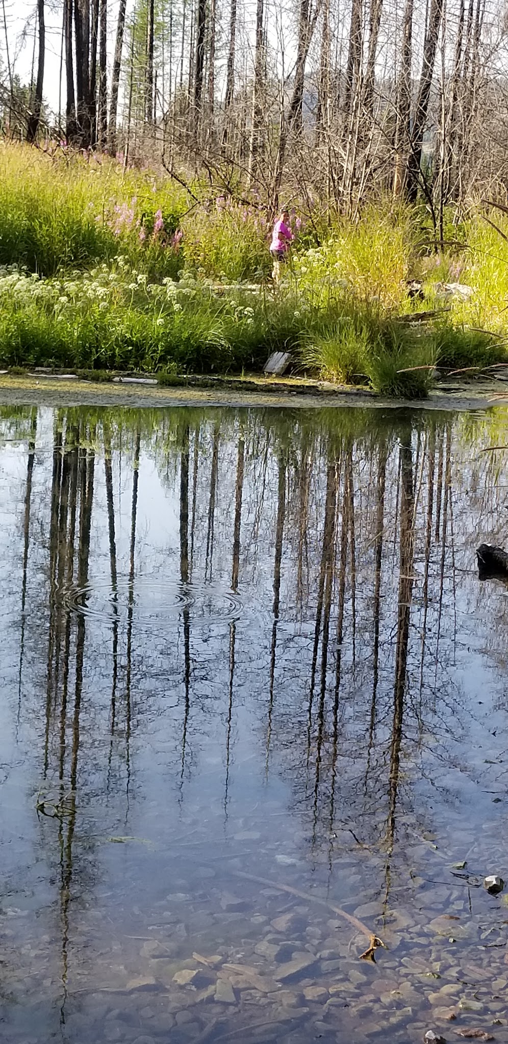 Sylvan Lake Campground