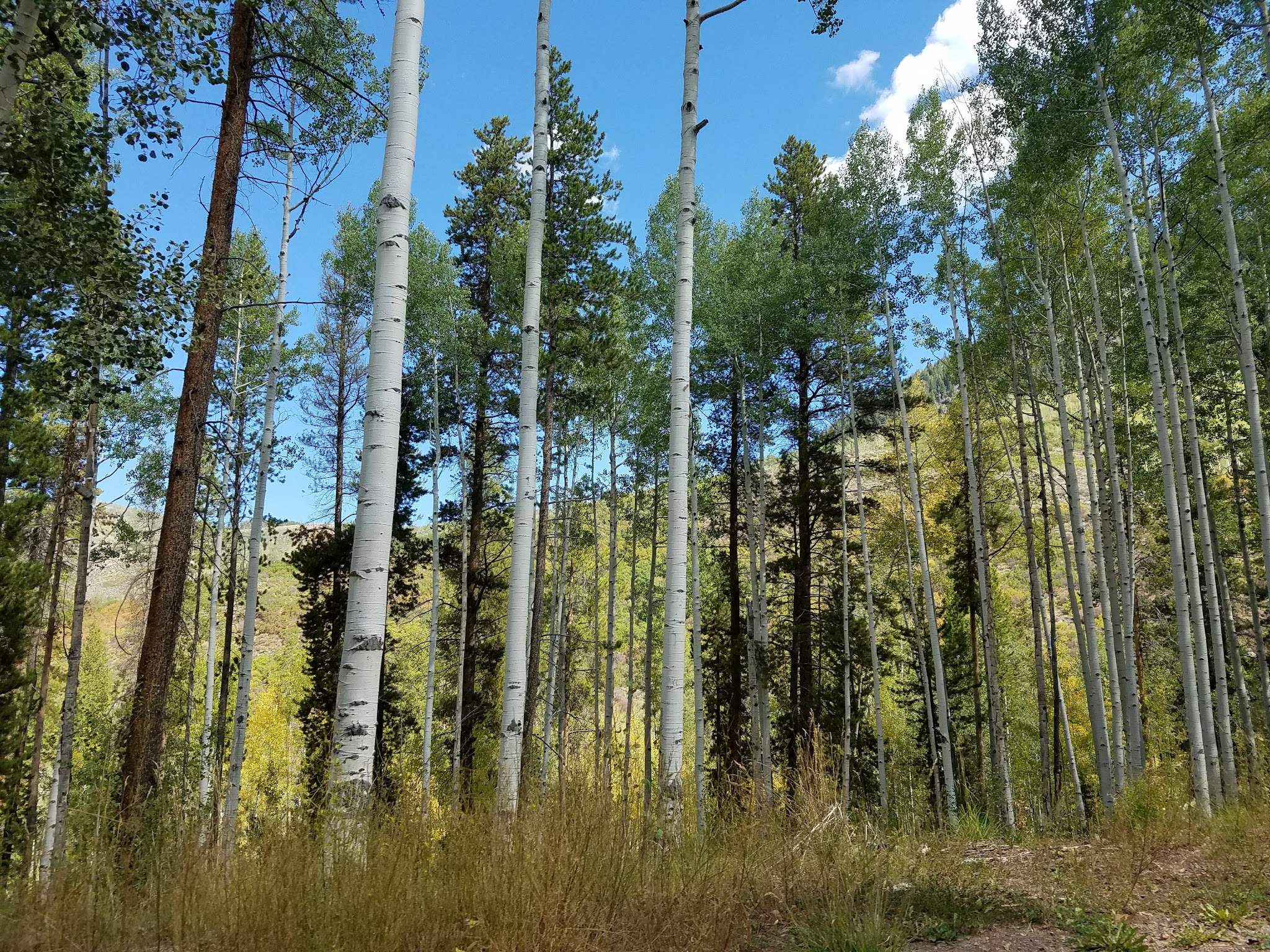Sylvan Lake State Park
