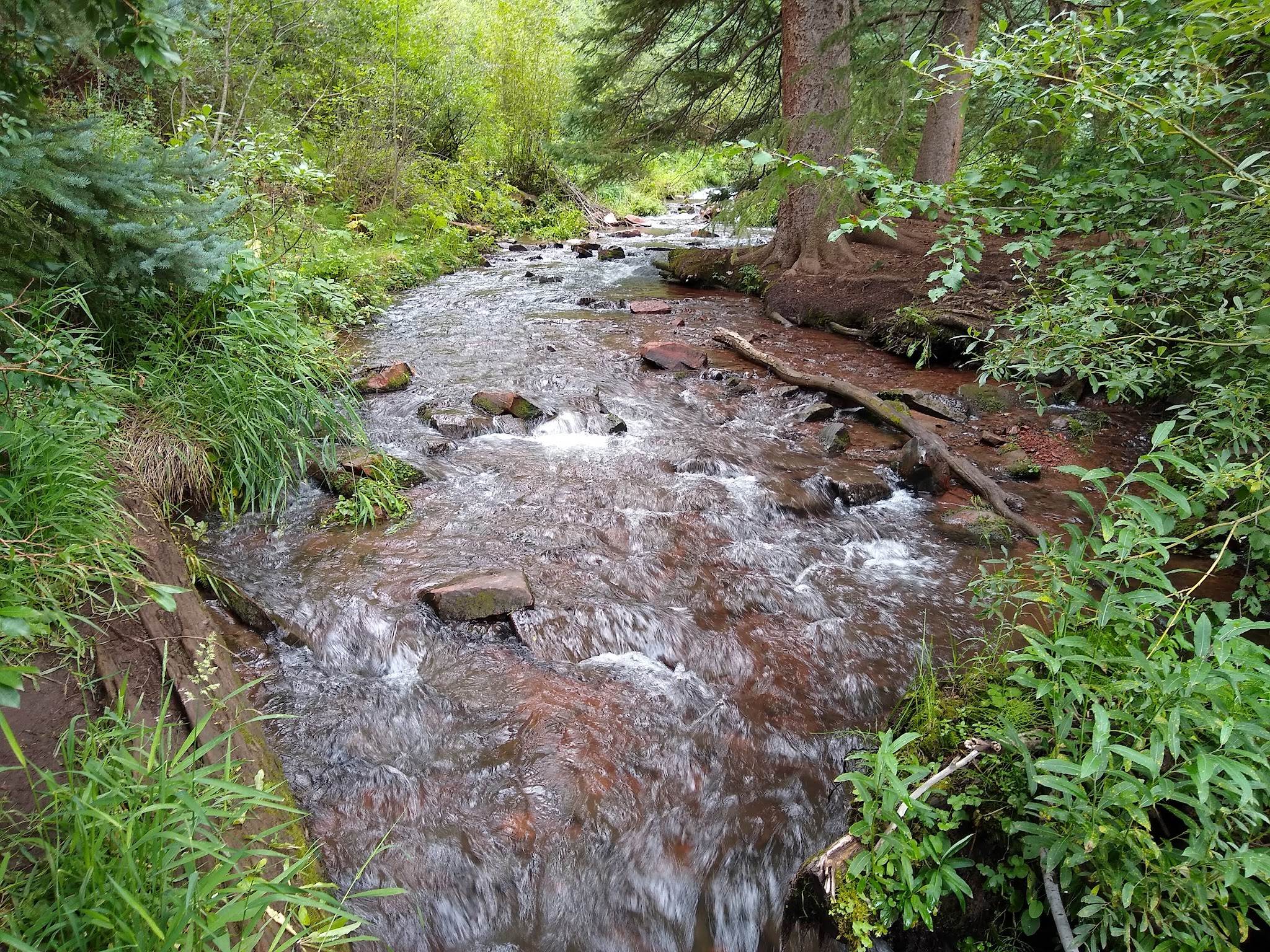 Sylvan Lake State Park