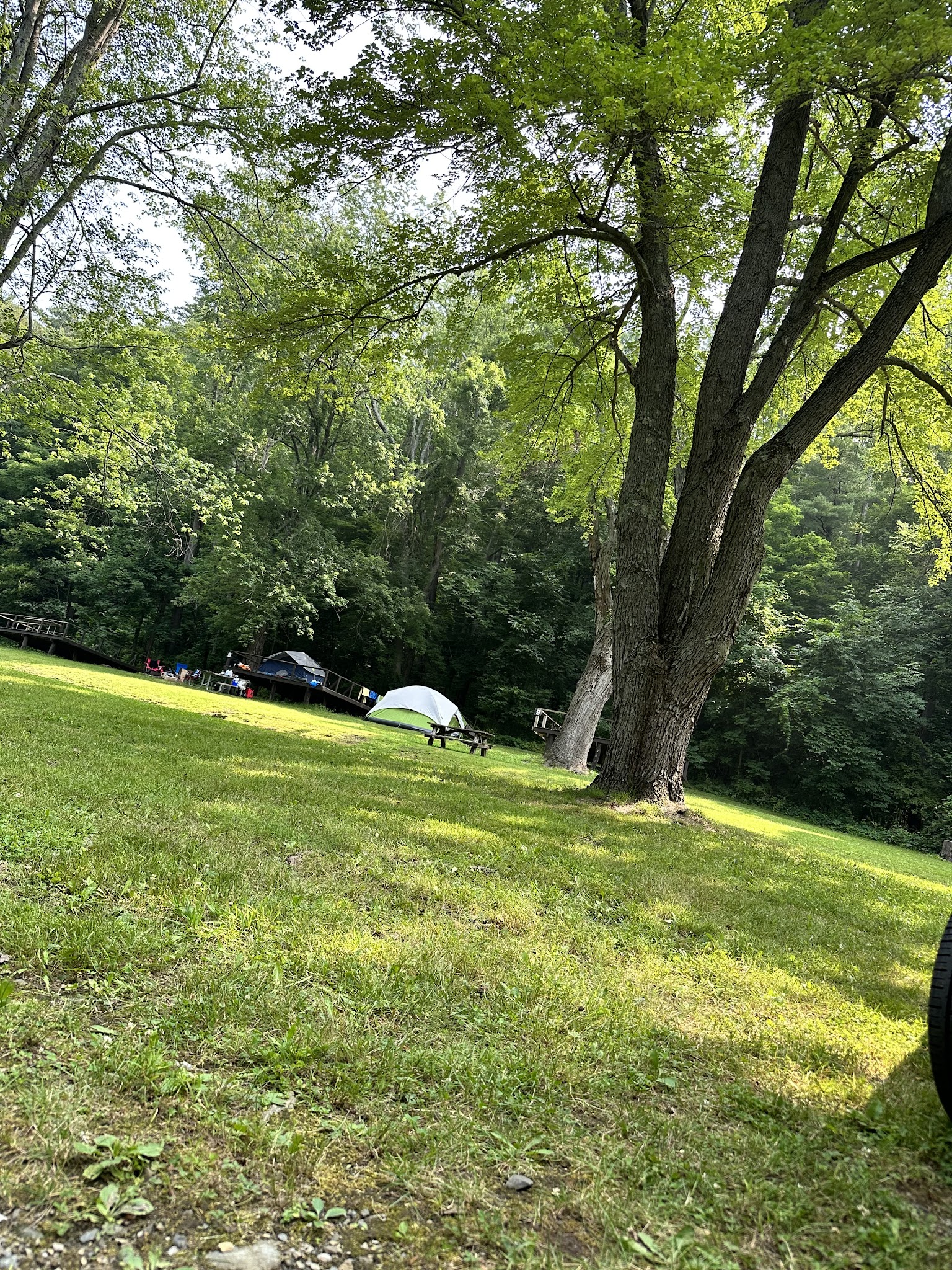 Taconic State Park (Rudd Pond)