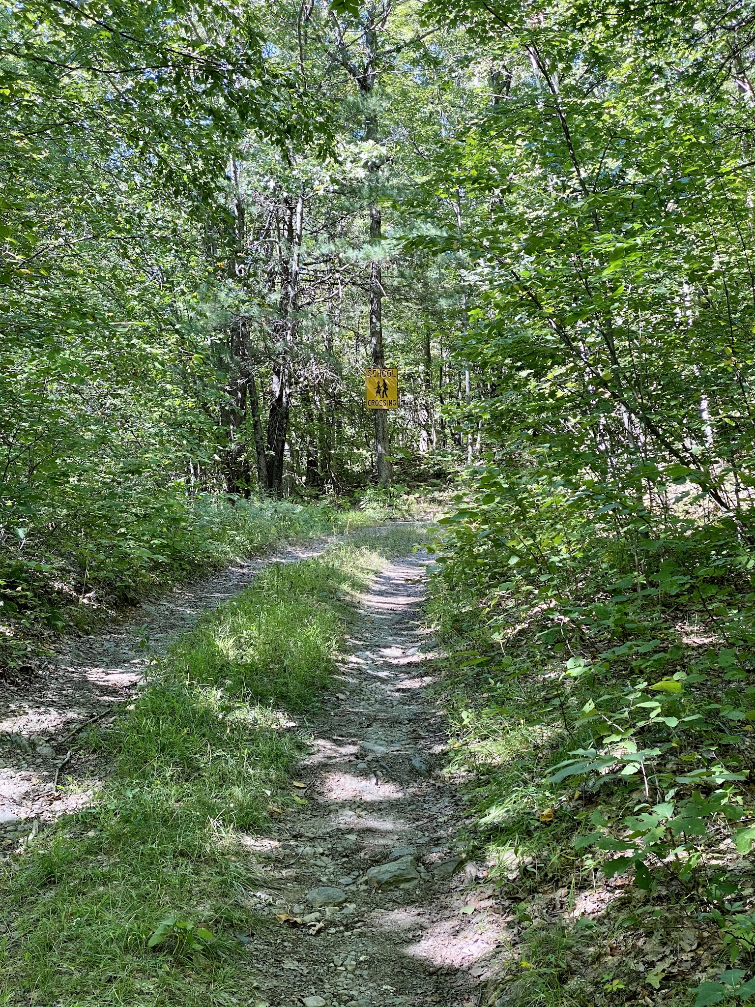 Taconic State Park (Rudd Pond)
