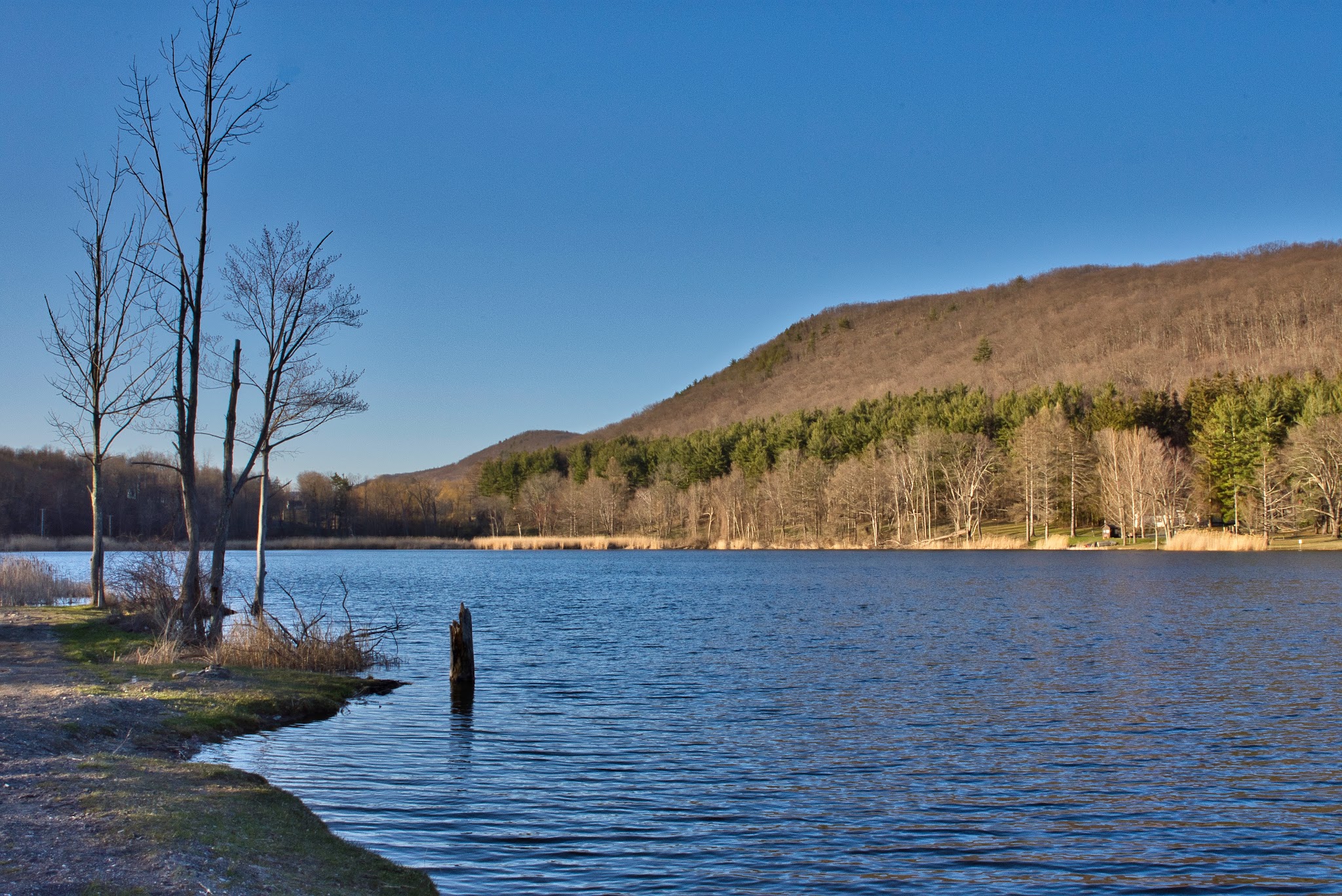 Taconic State Park (Rudd Pond)