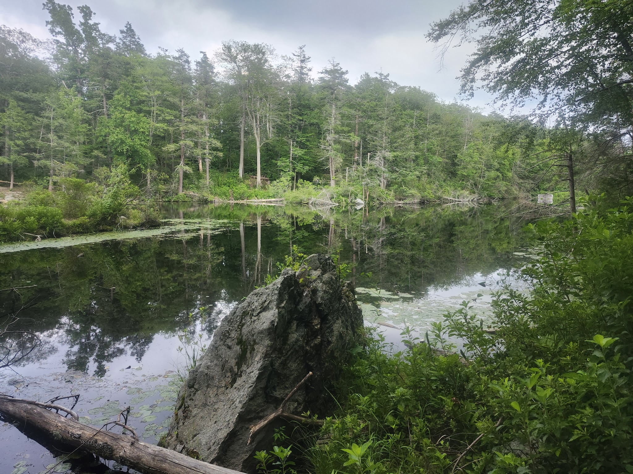 Taconic State Park (Rudd Pond)