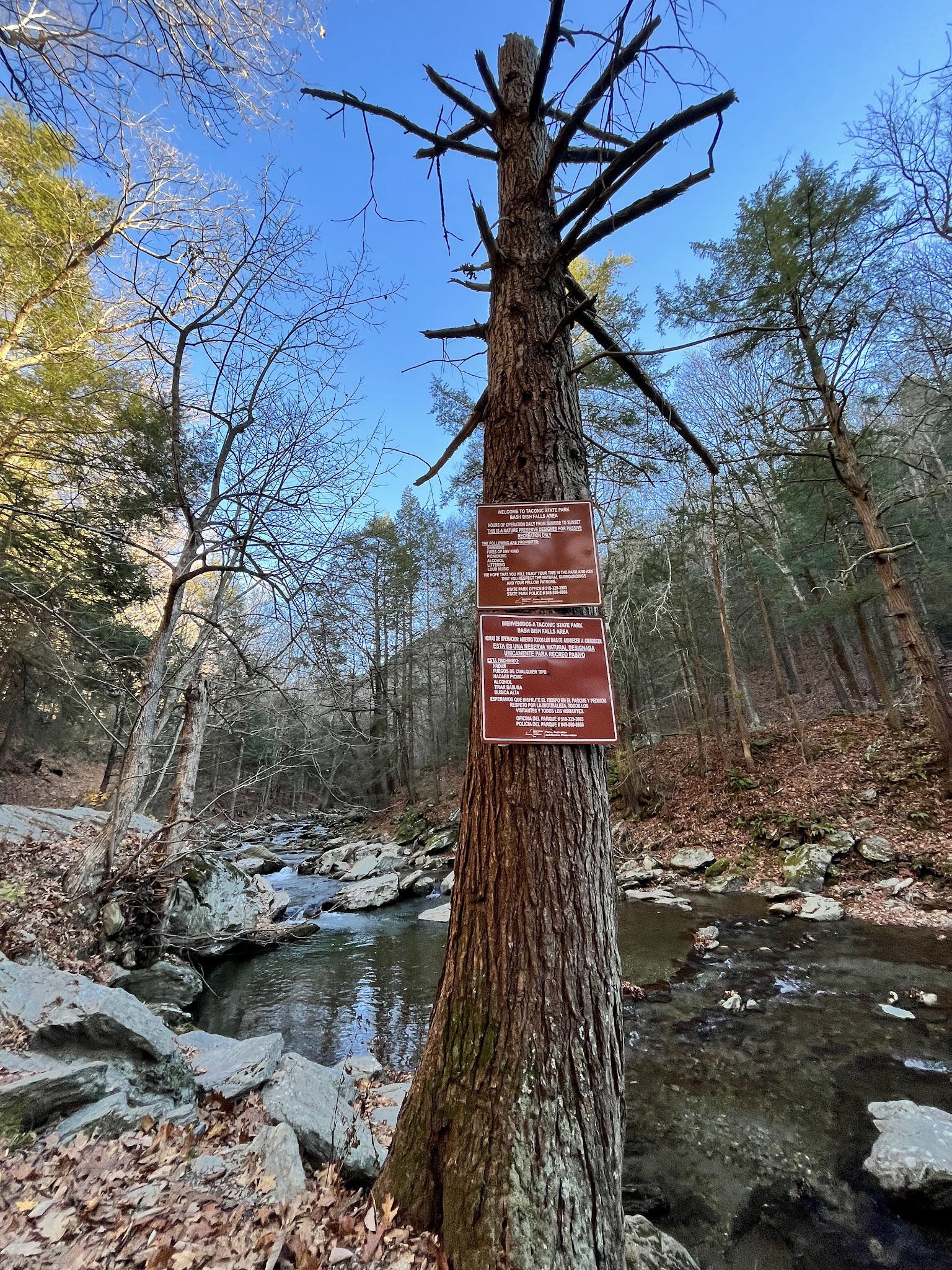 Taconic State Park (Copake Falls)