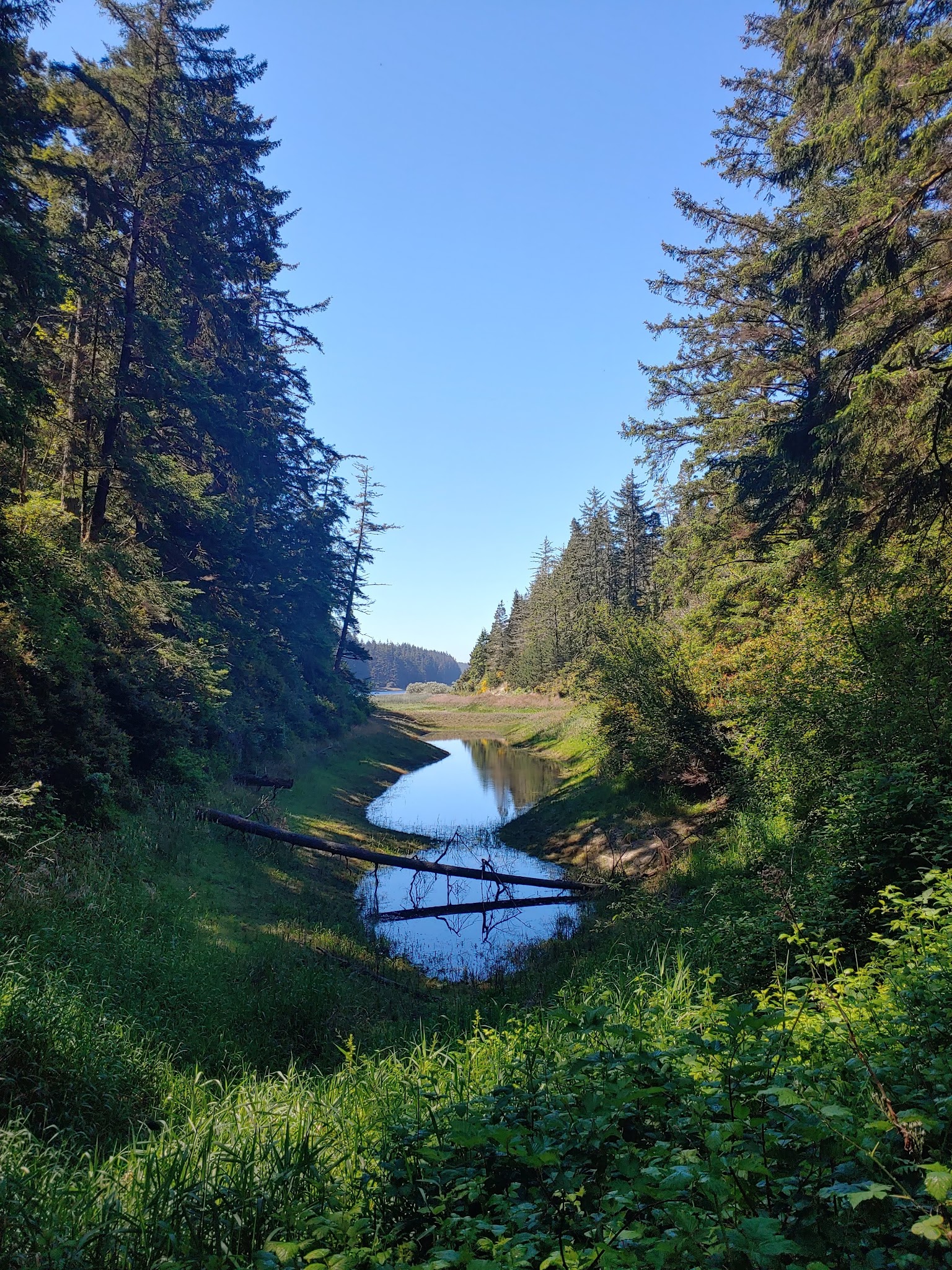 Tahkenitch Campground