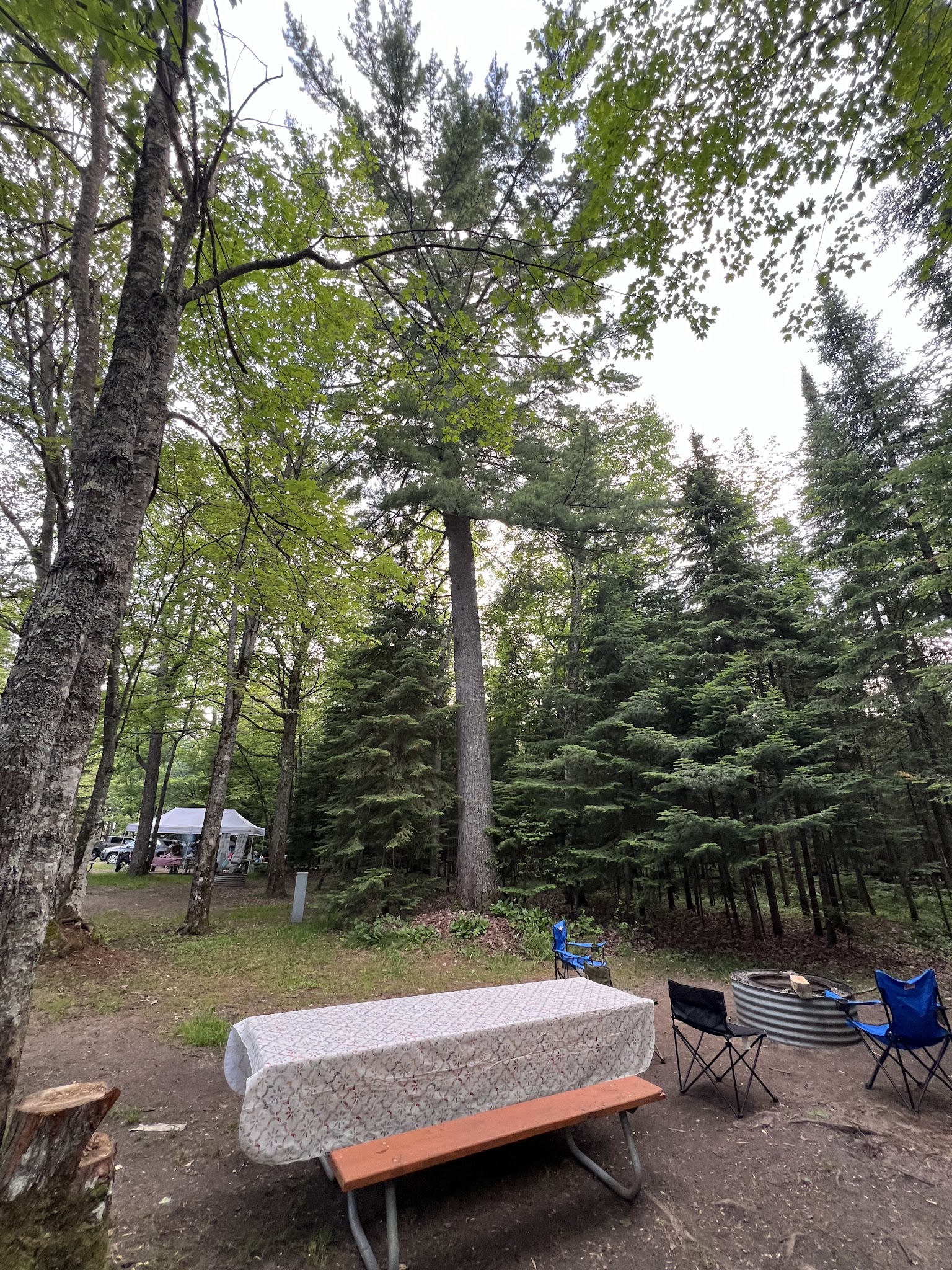 Tahquamenon Falls-Rivermouth Pines Campground