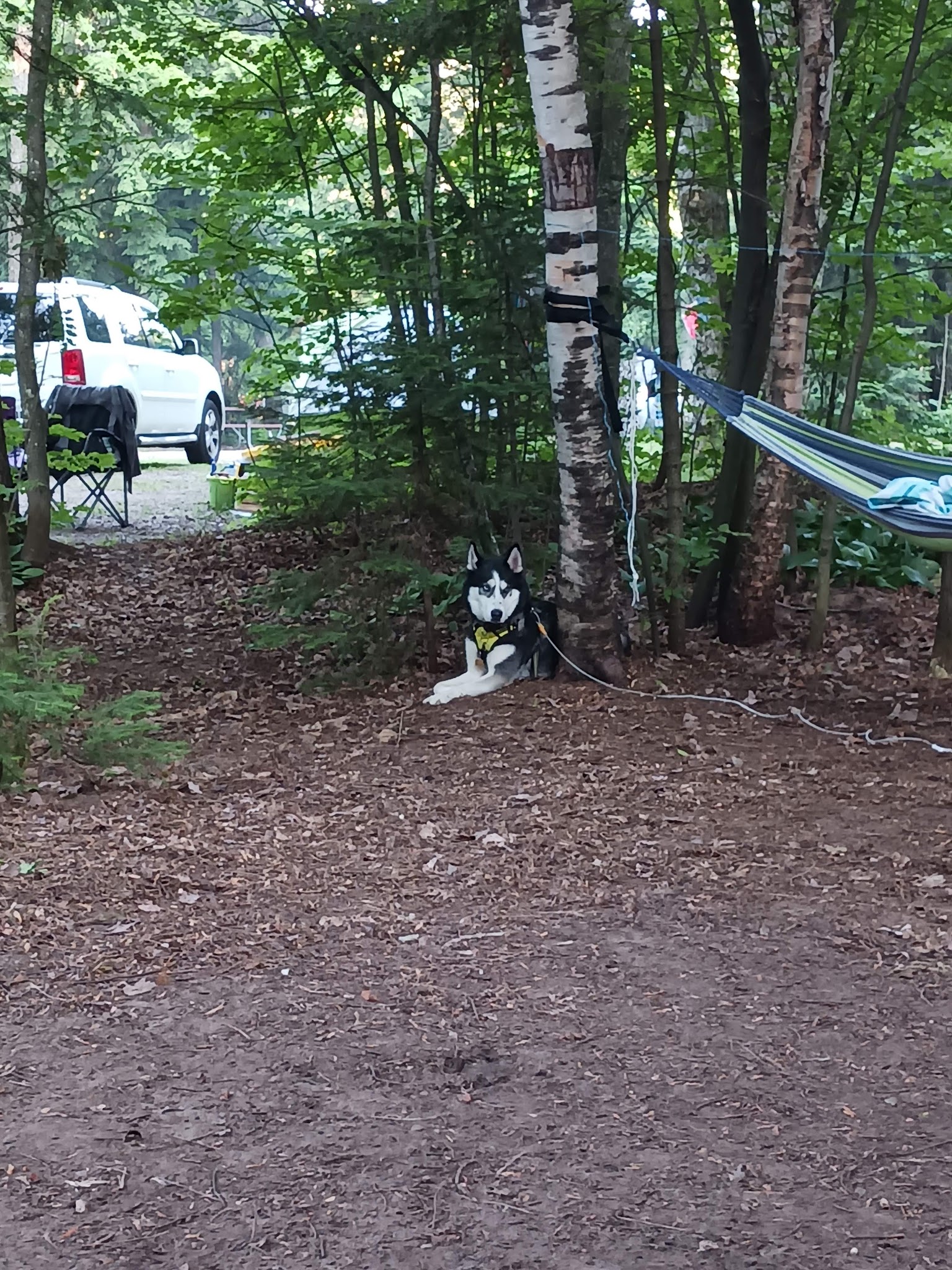 Tahquamenon Falls-Rivermouth Pines Campground