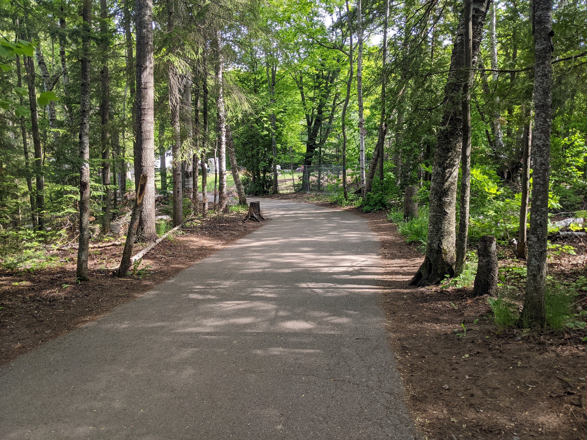 Tahquamenon Falls-Lower Falls Campground