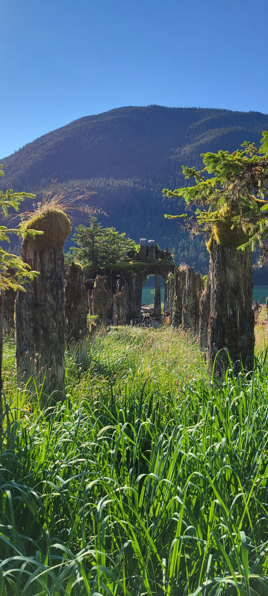 Taku Harbor State Marine Park