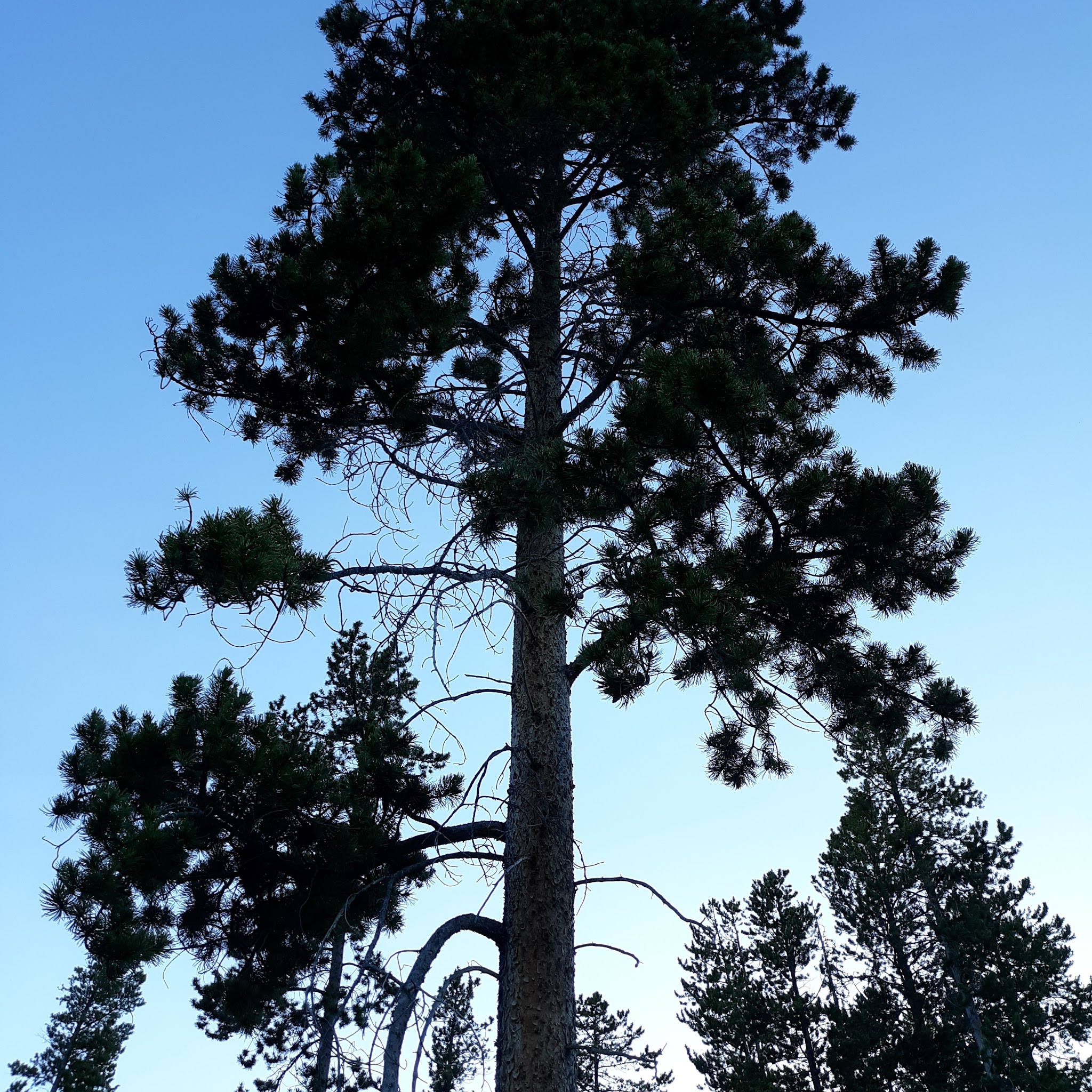 Lowland Campground And Picnic Area