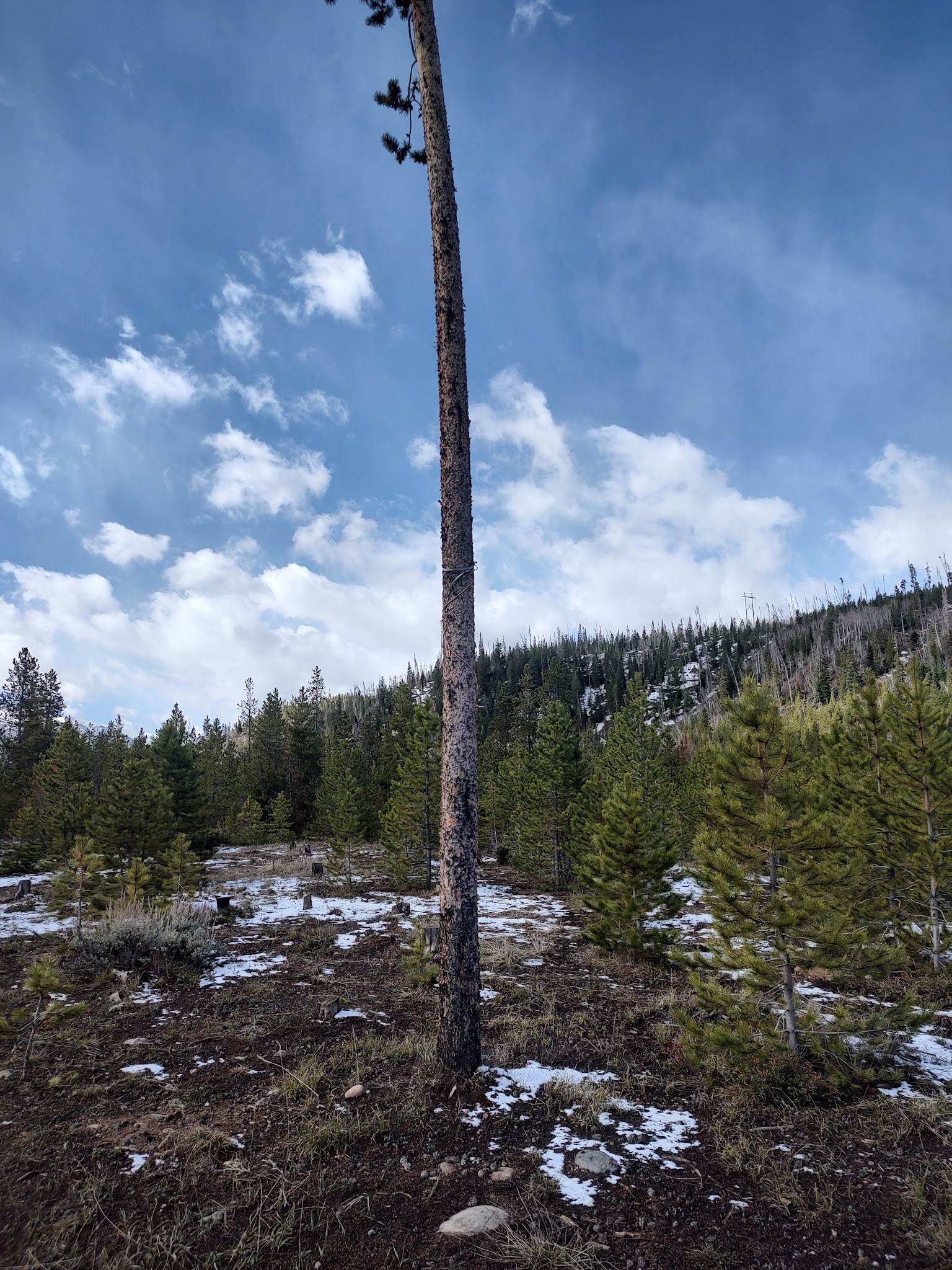 Horseshoe Campground