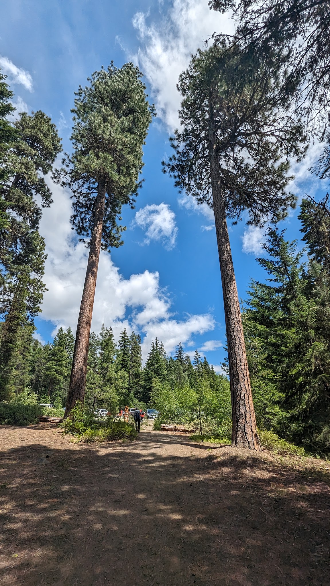 Rock Island Campground