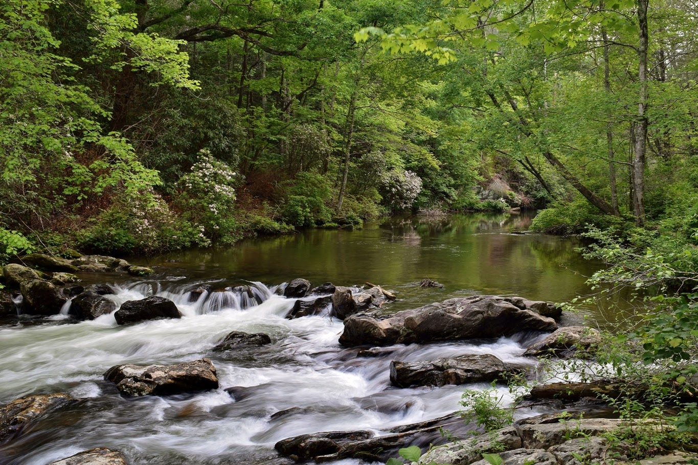 Tallulah River Campground